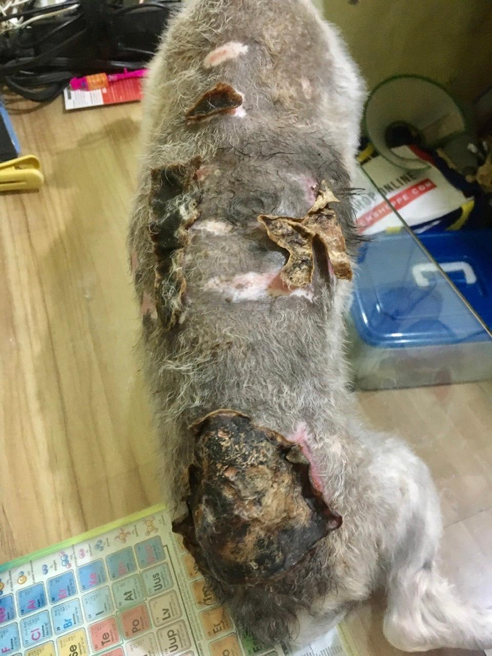 Question details sensitive content