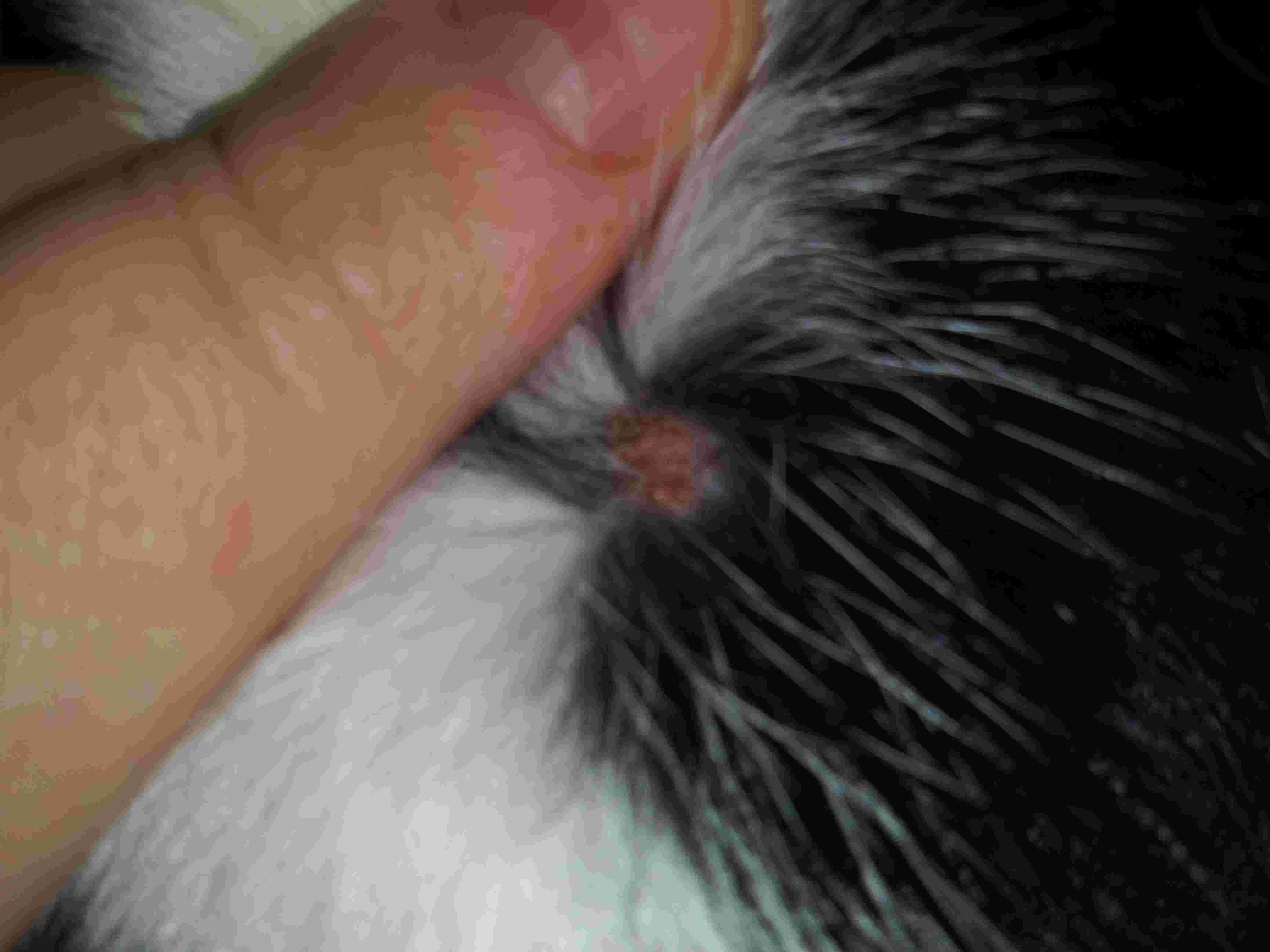 Question details sensitive content