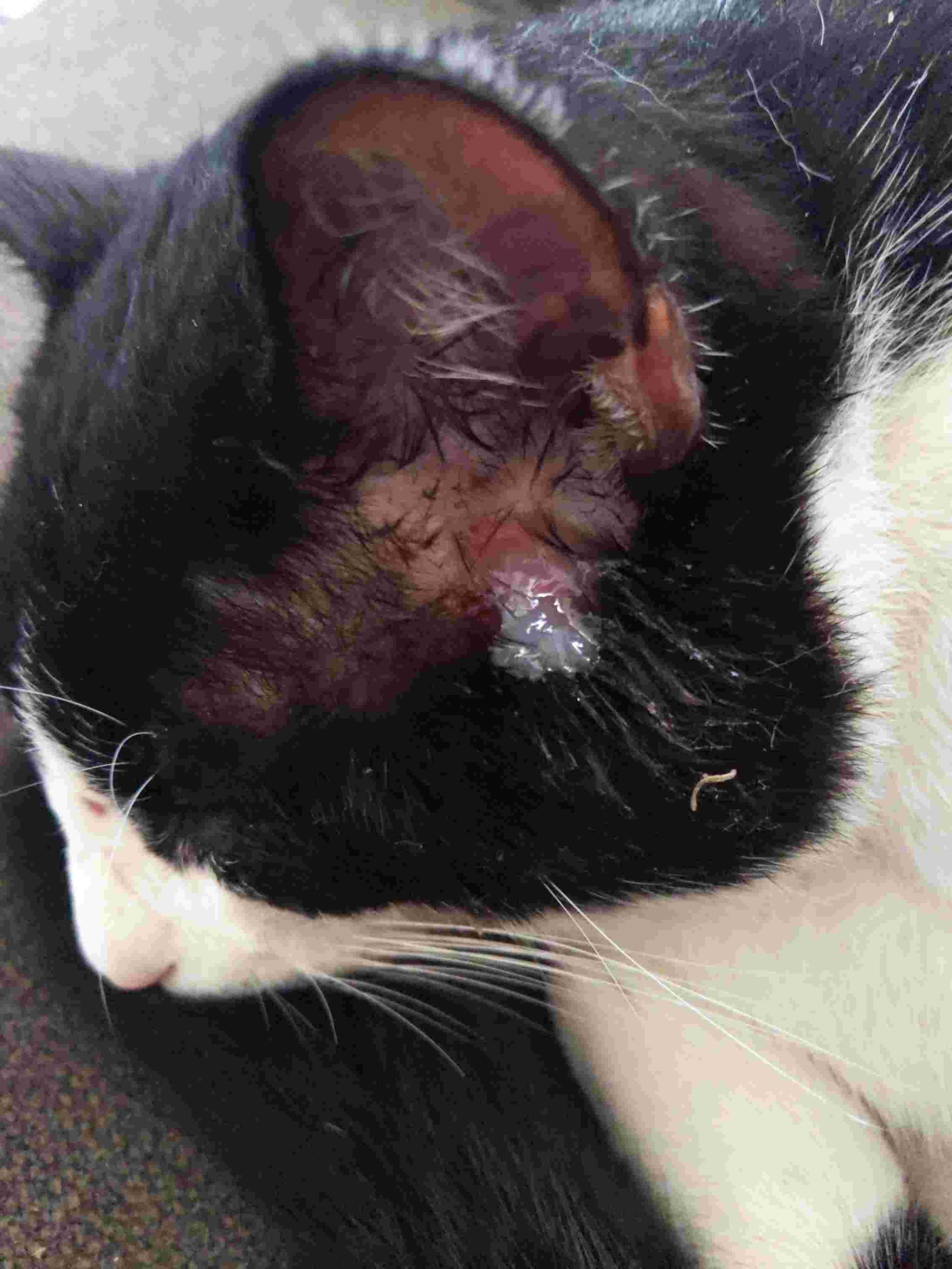 Question details sensitive content