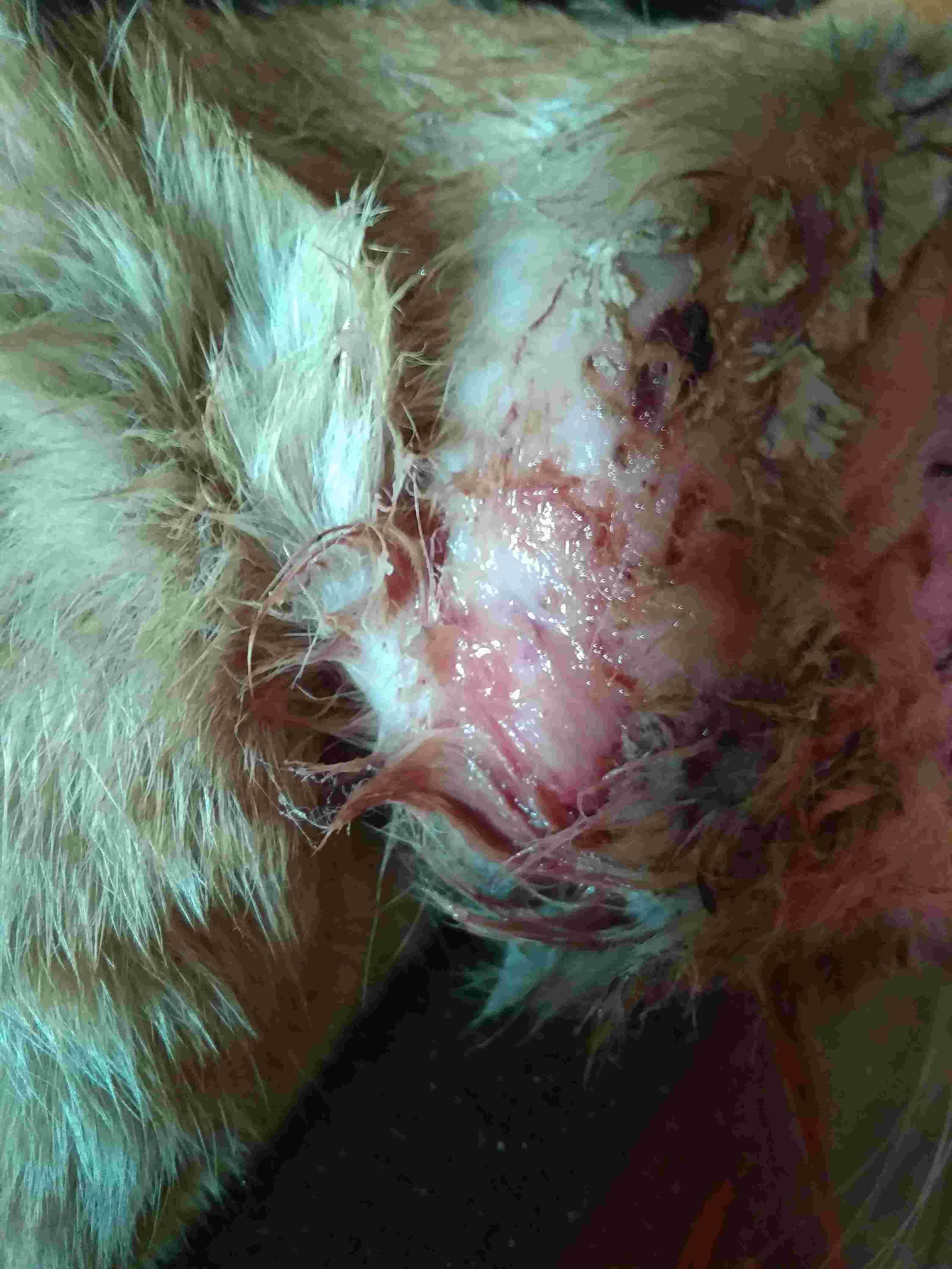 Question details sensitive content