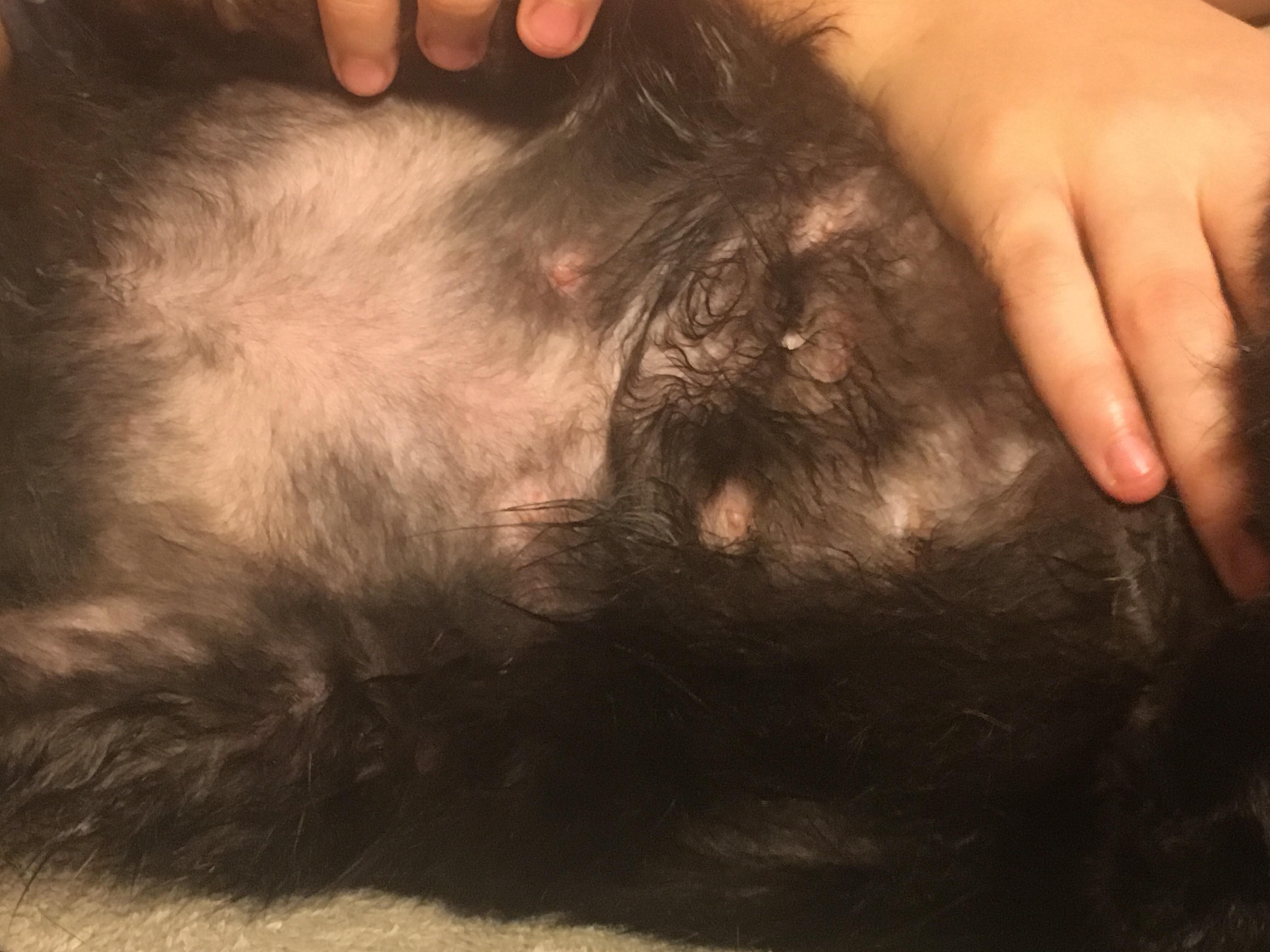 Question details sensitive content