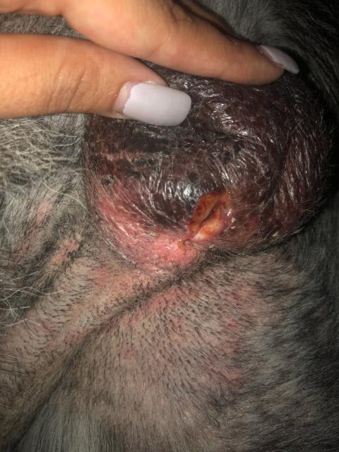 Question details sensitive content