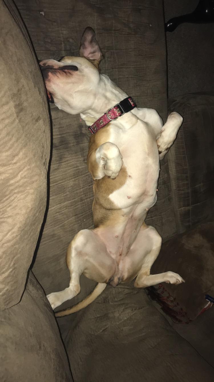 Question details sensitive content