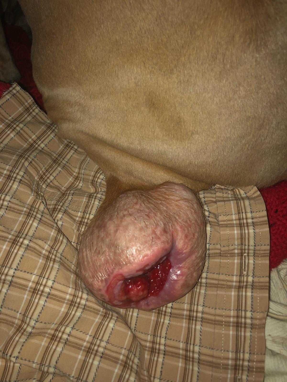 Question details sensitive content