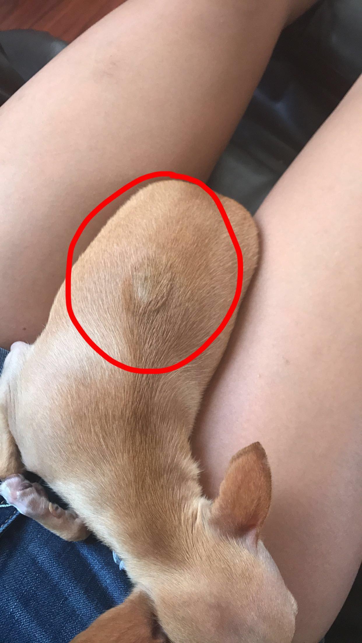 Question details sensitive content