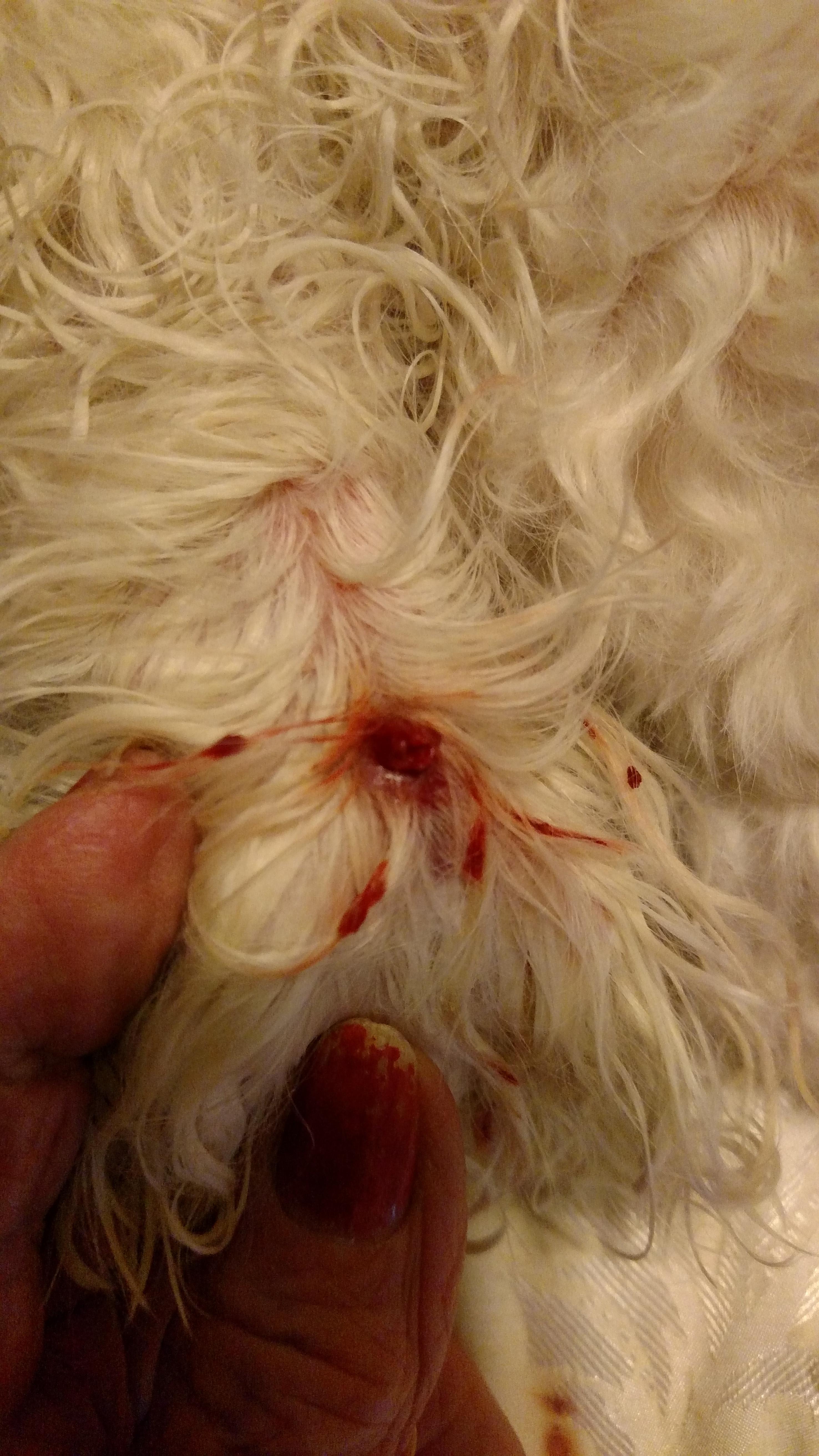 Question details sensitive content