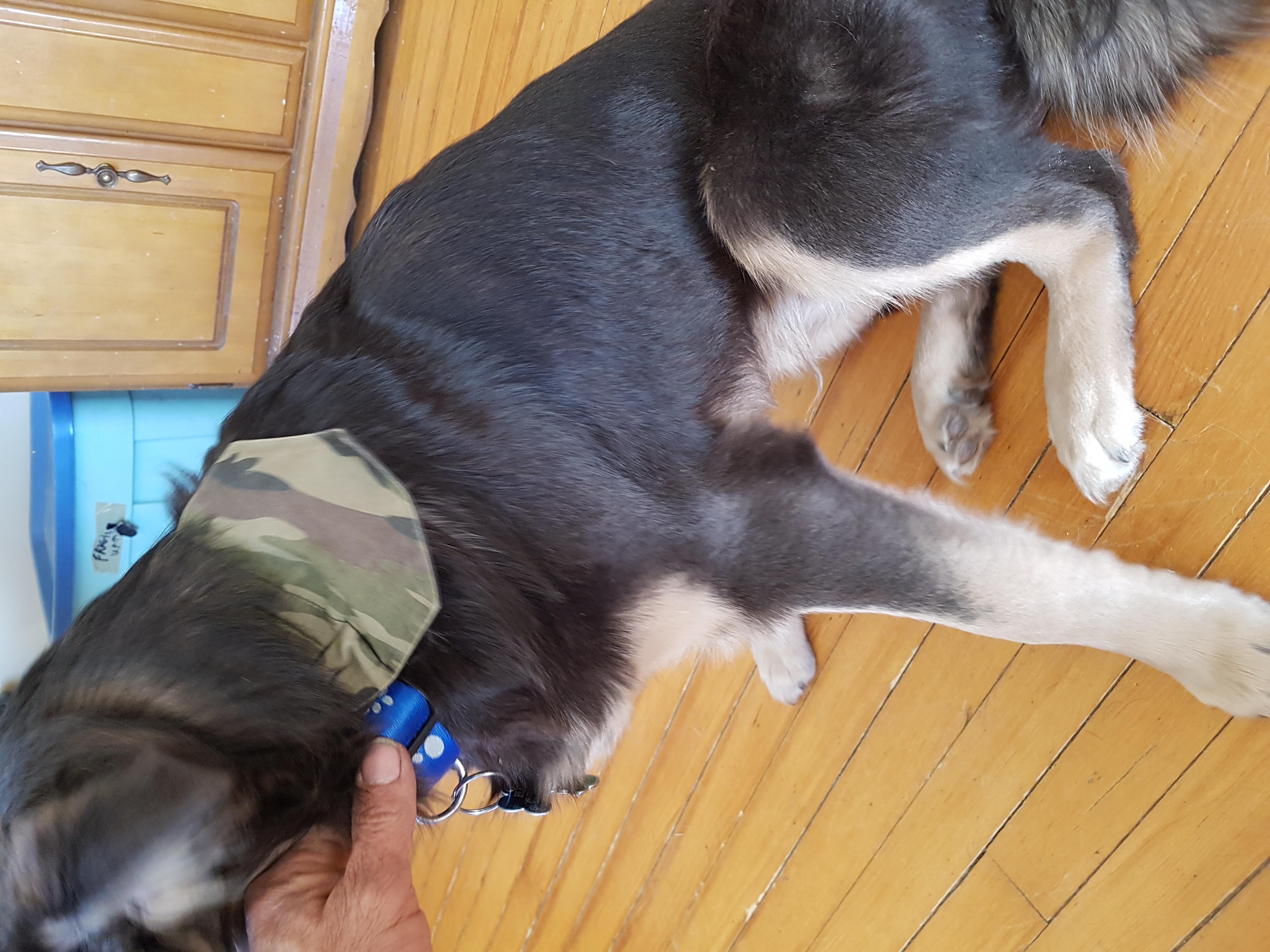 Question details sensitive content