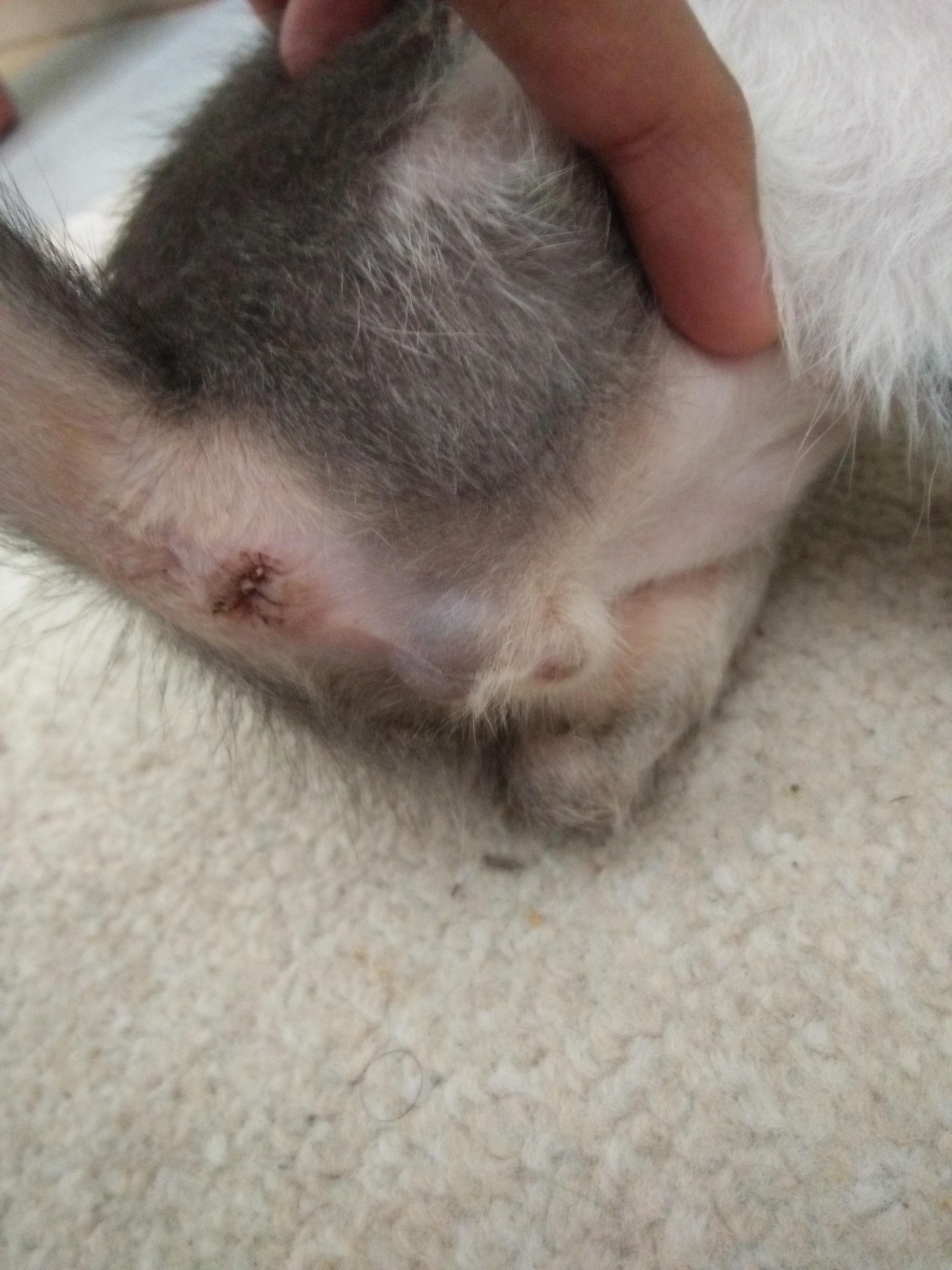 Question details sensitive content