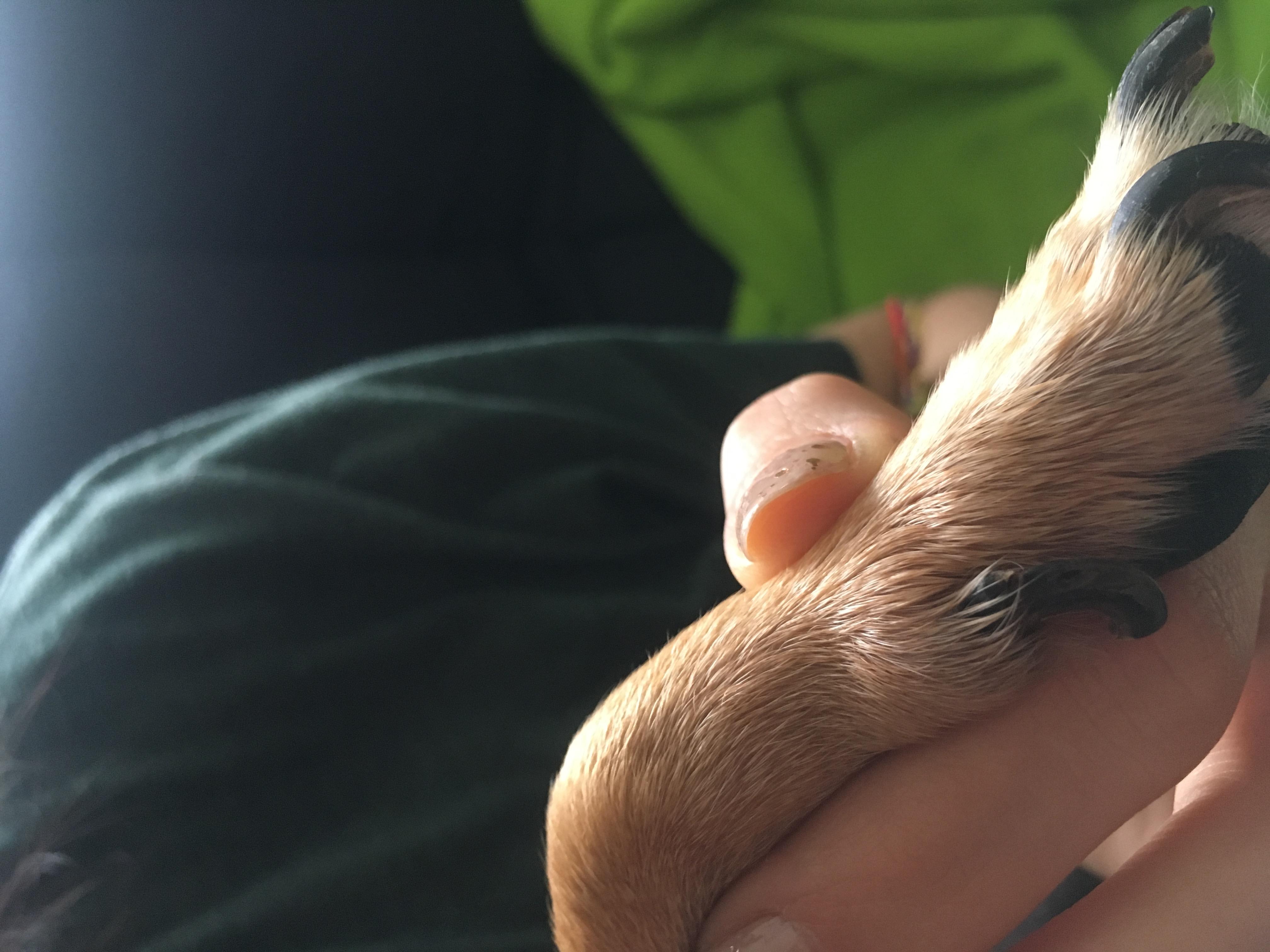 Question details sensitive content