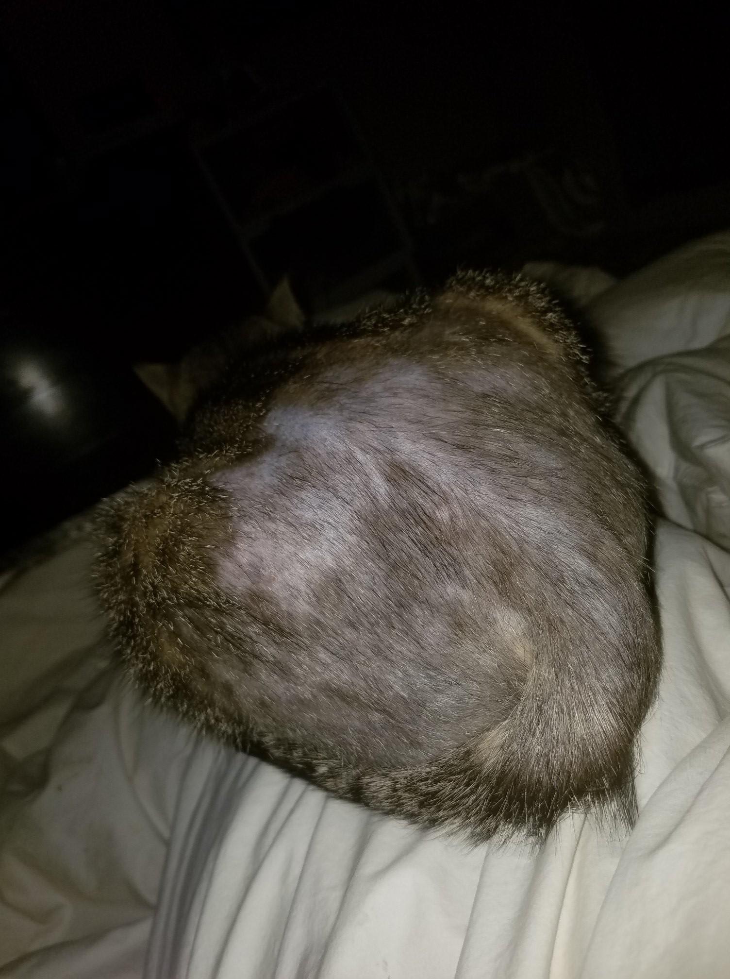 Question details sensitive content