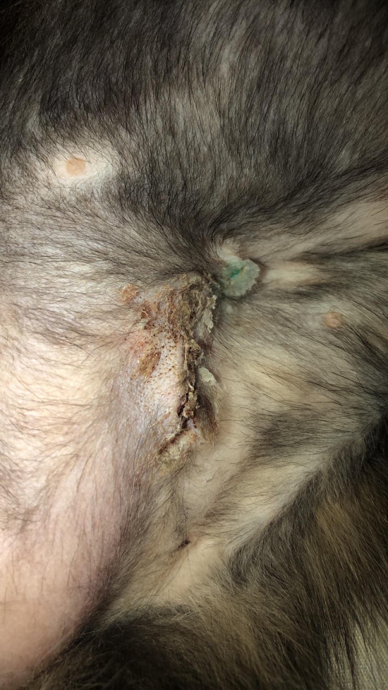 Question details sensitive content