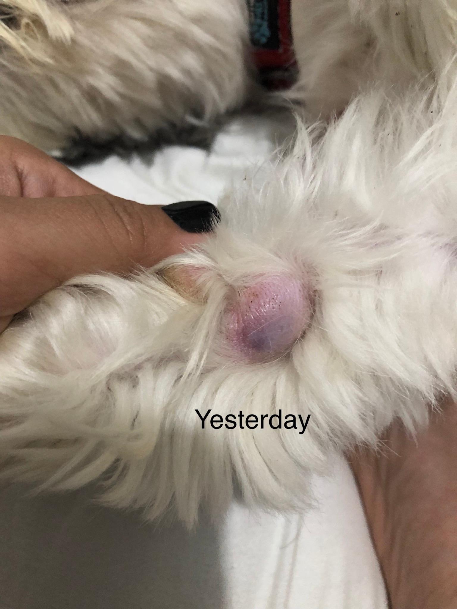 Question details sensitive content