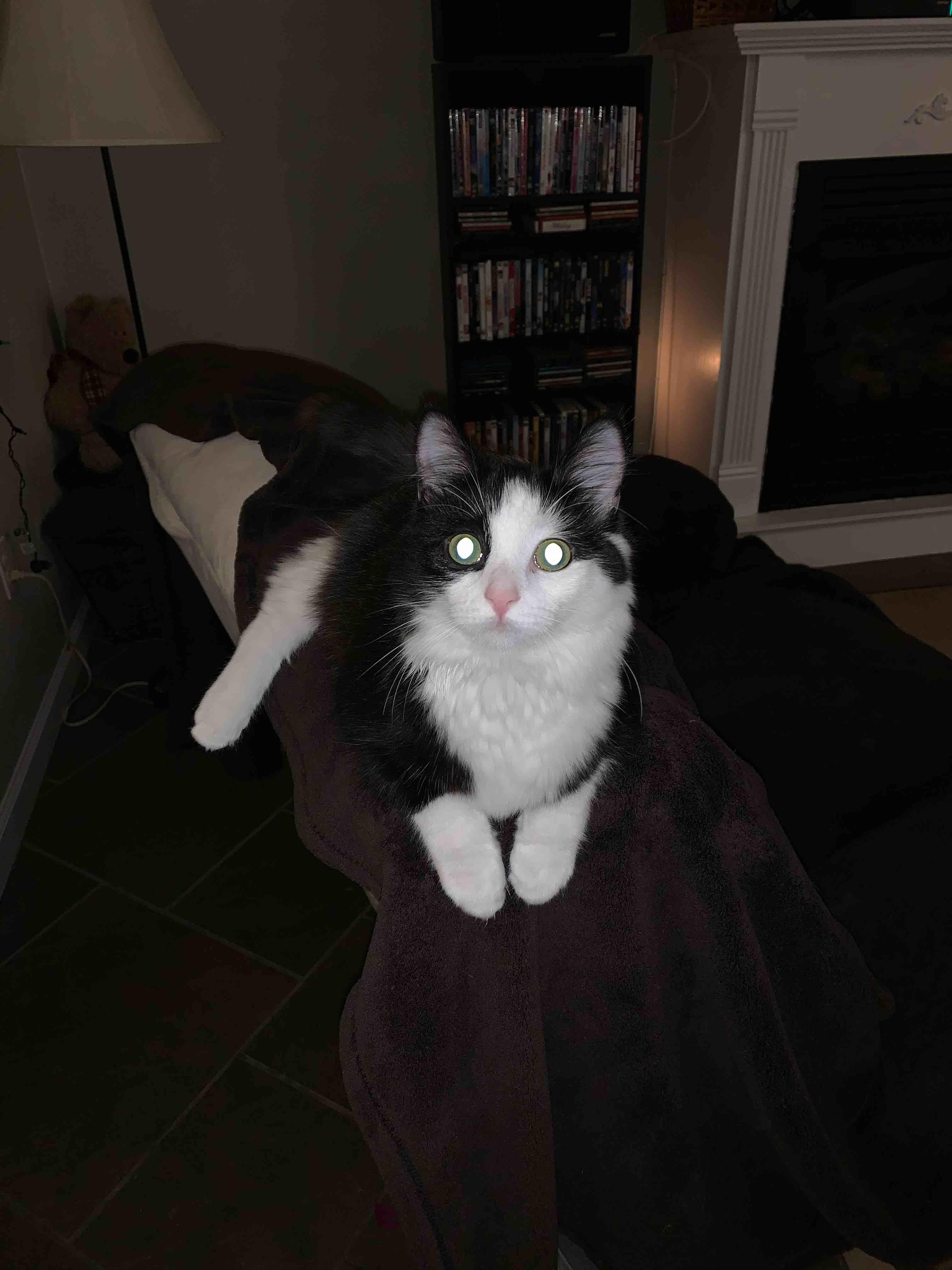 Question details sensitive content