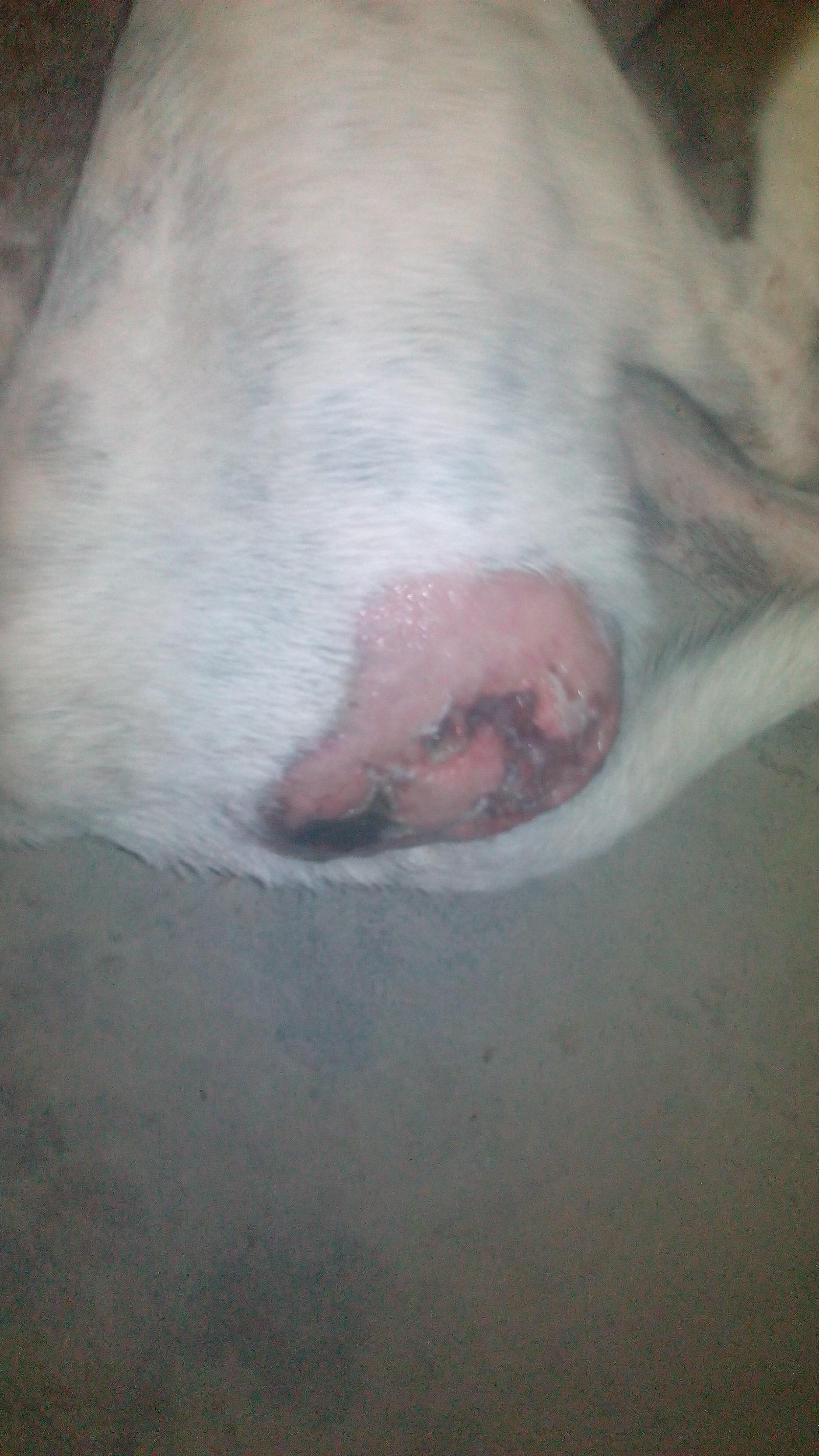 Question details sensitive content