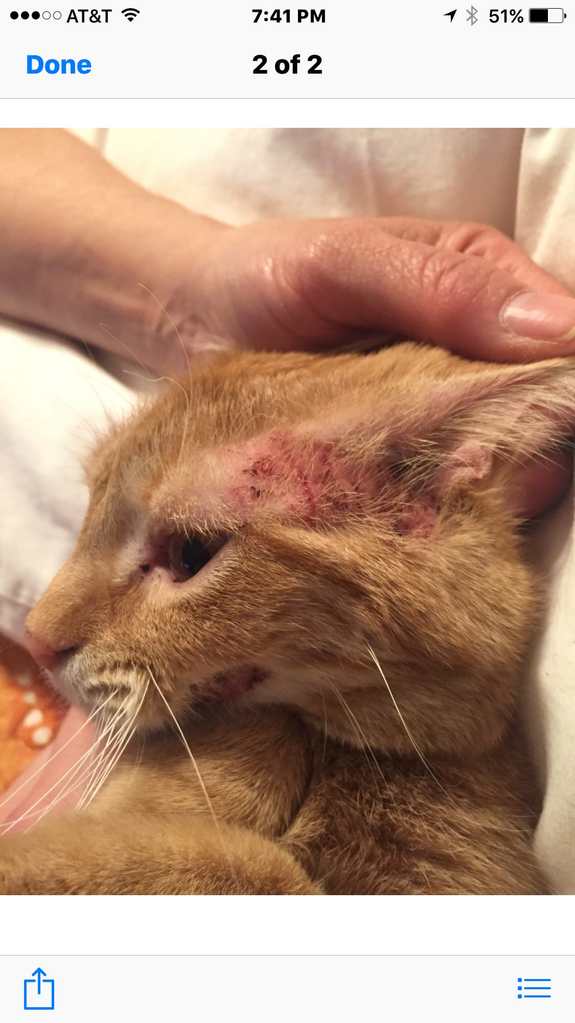 Question details sensitive content