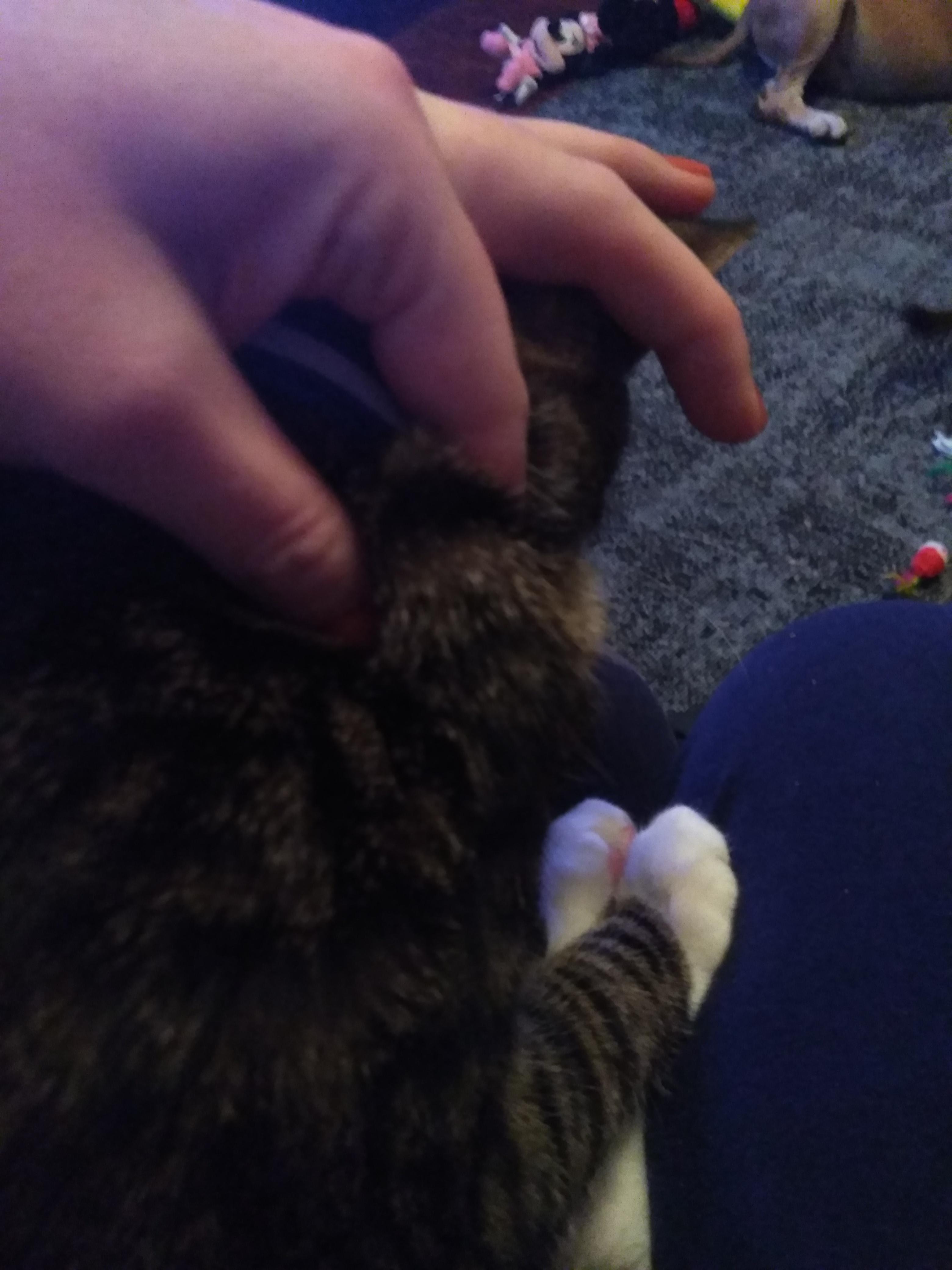 Question details sensitive content