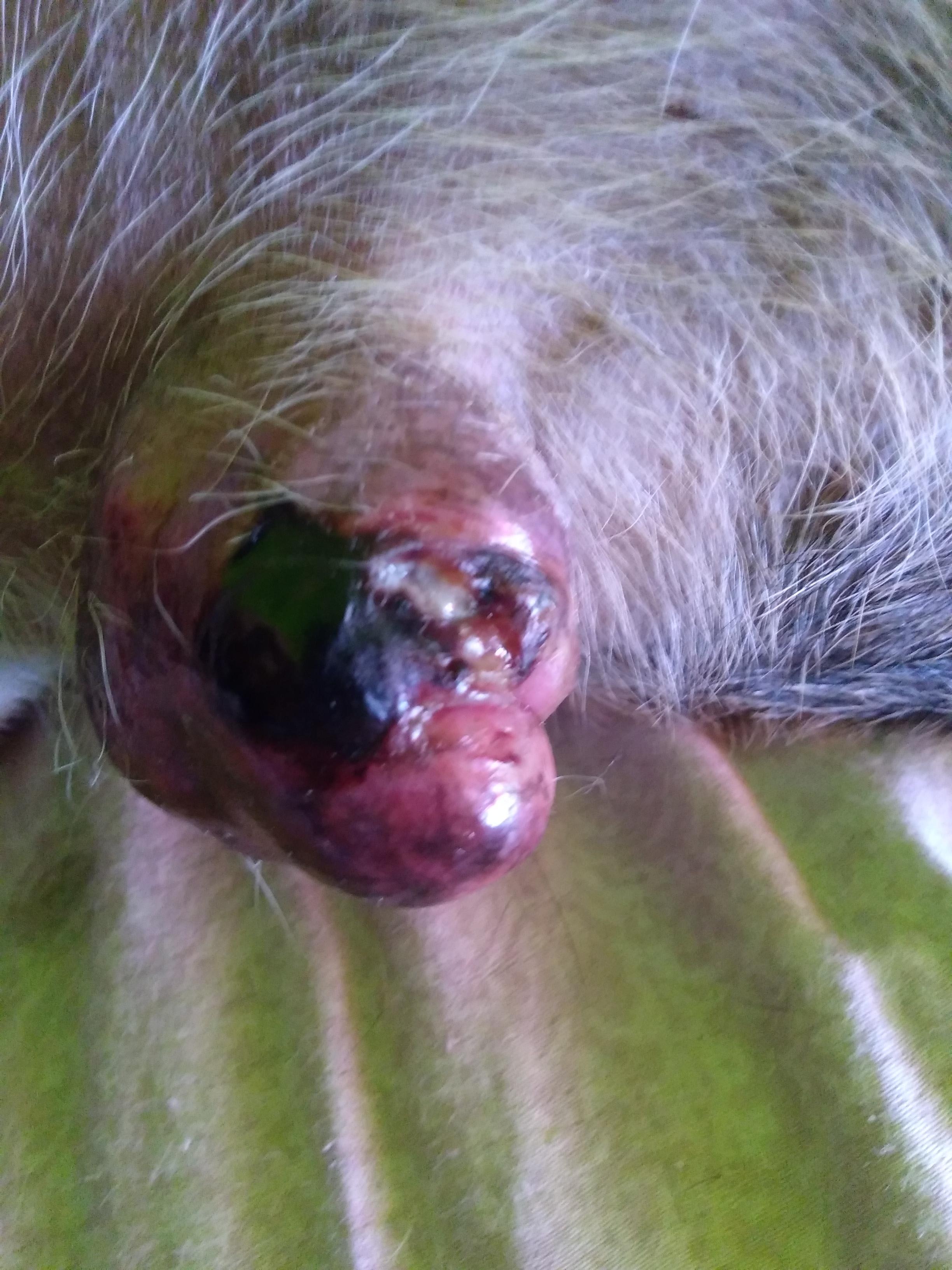 Question details sensitive content