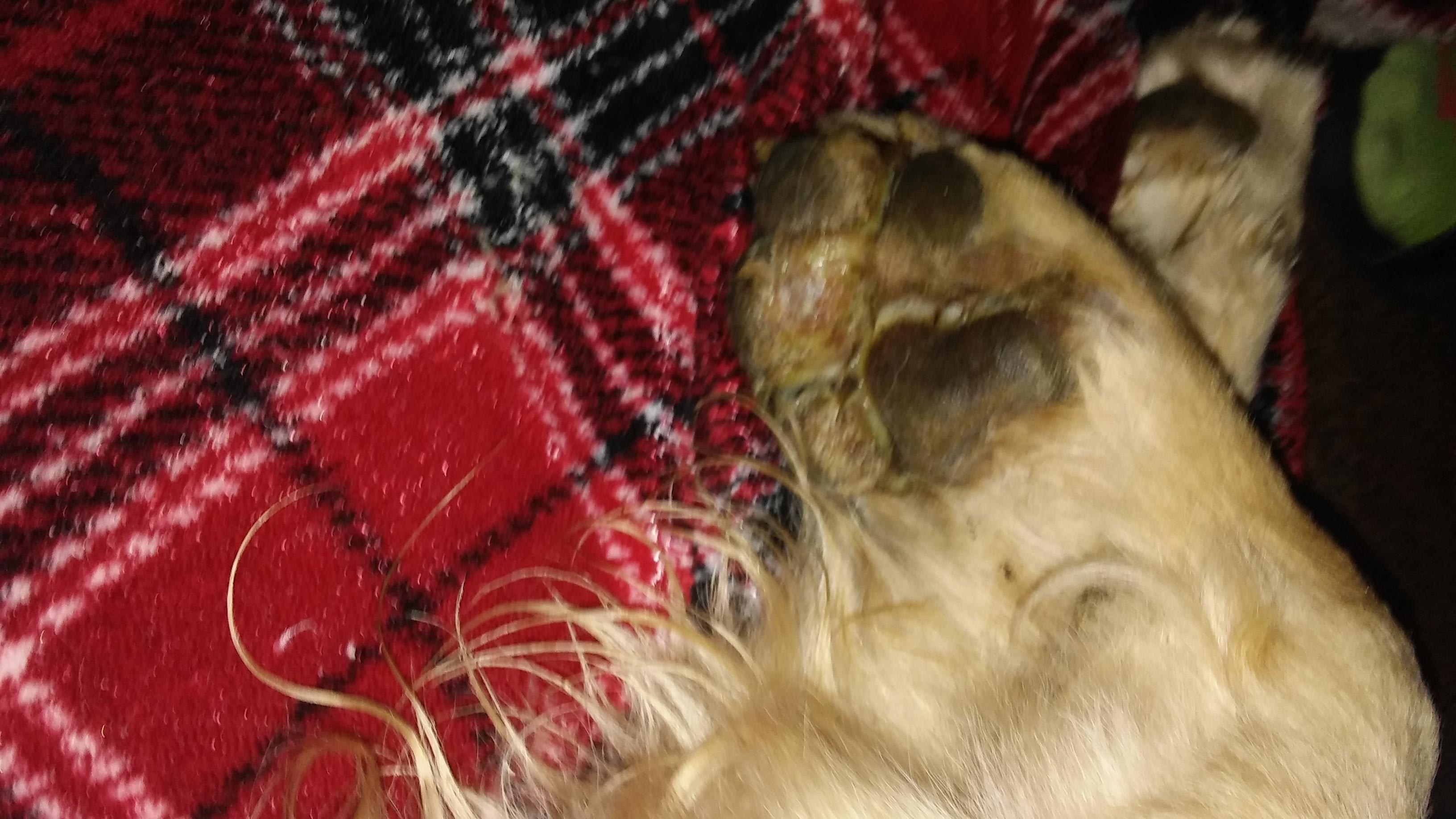 Question details sensitive content