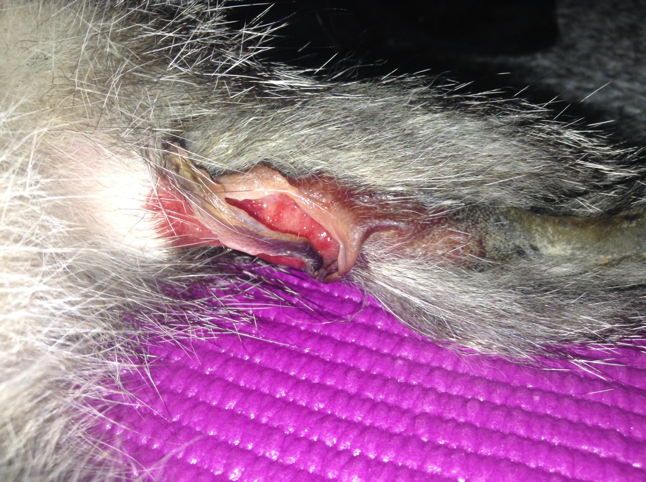 Question details sensitive content