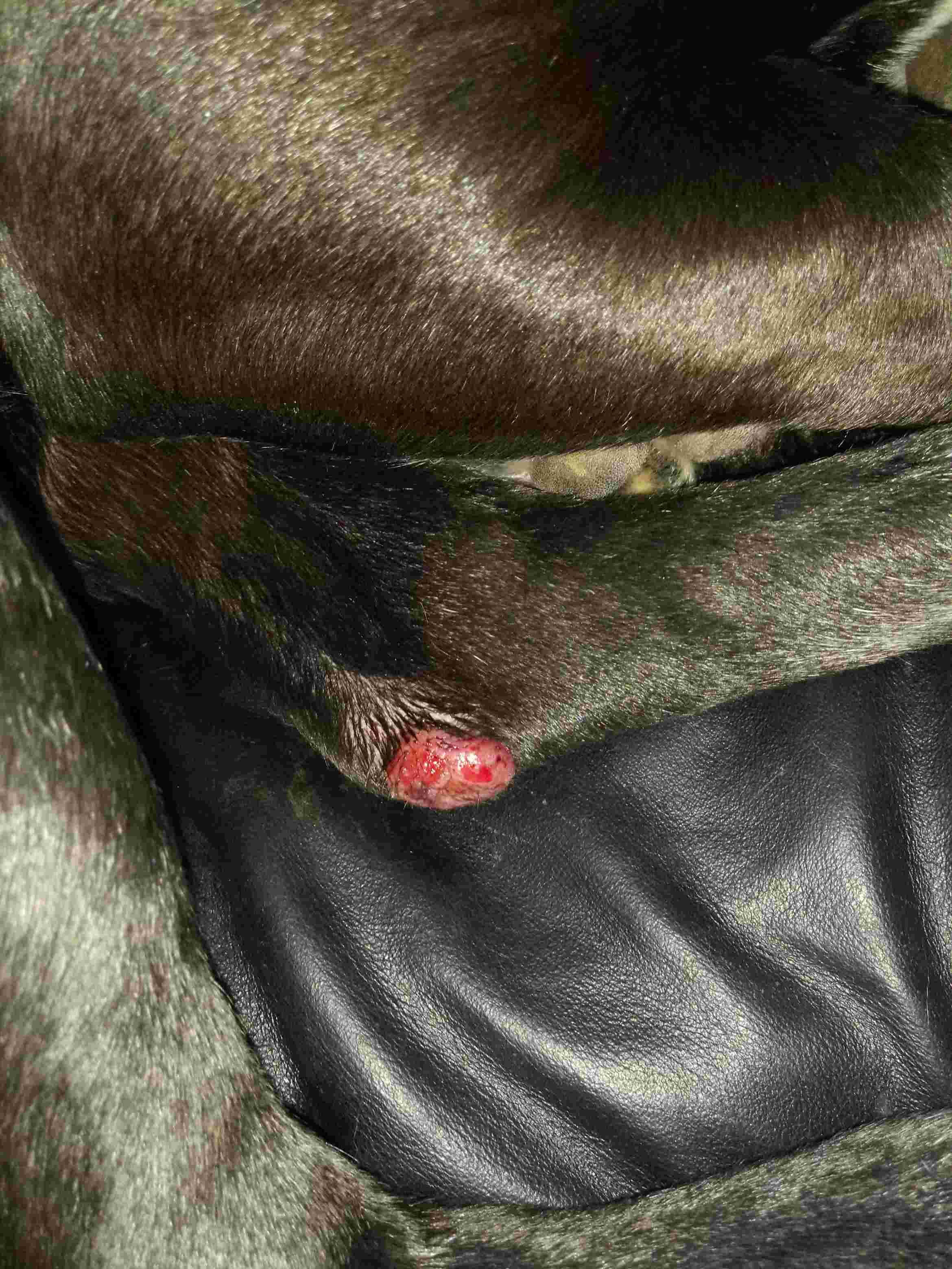 Question details sensitive content