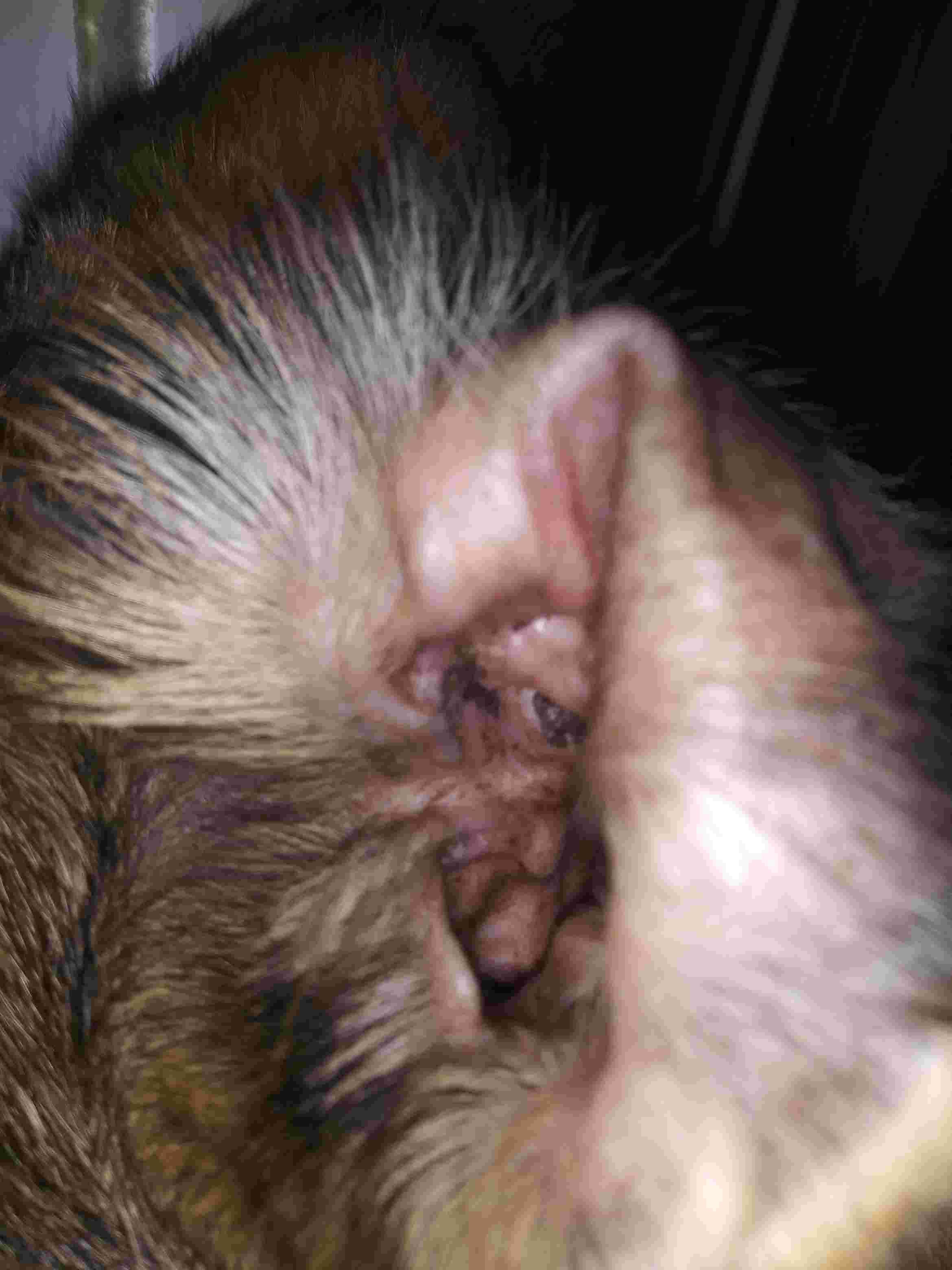 Question details sensitive content