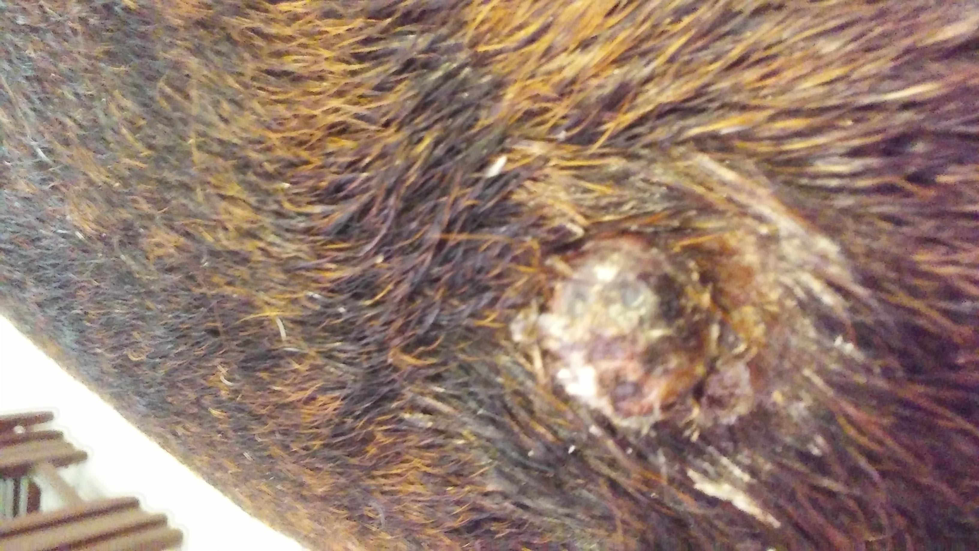 Question details sensitive content