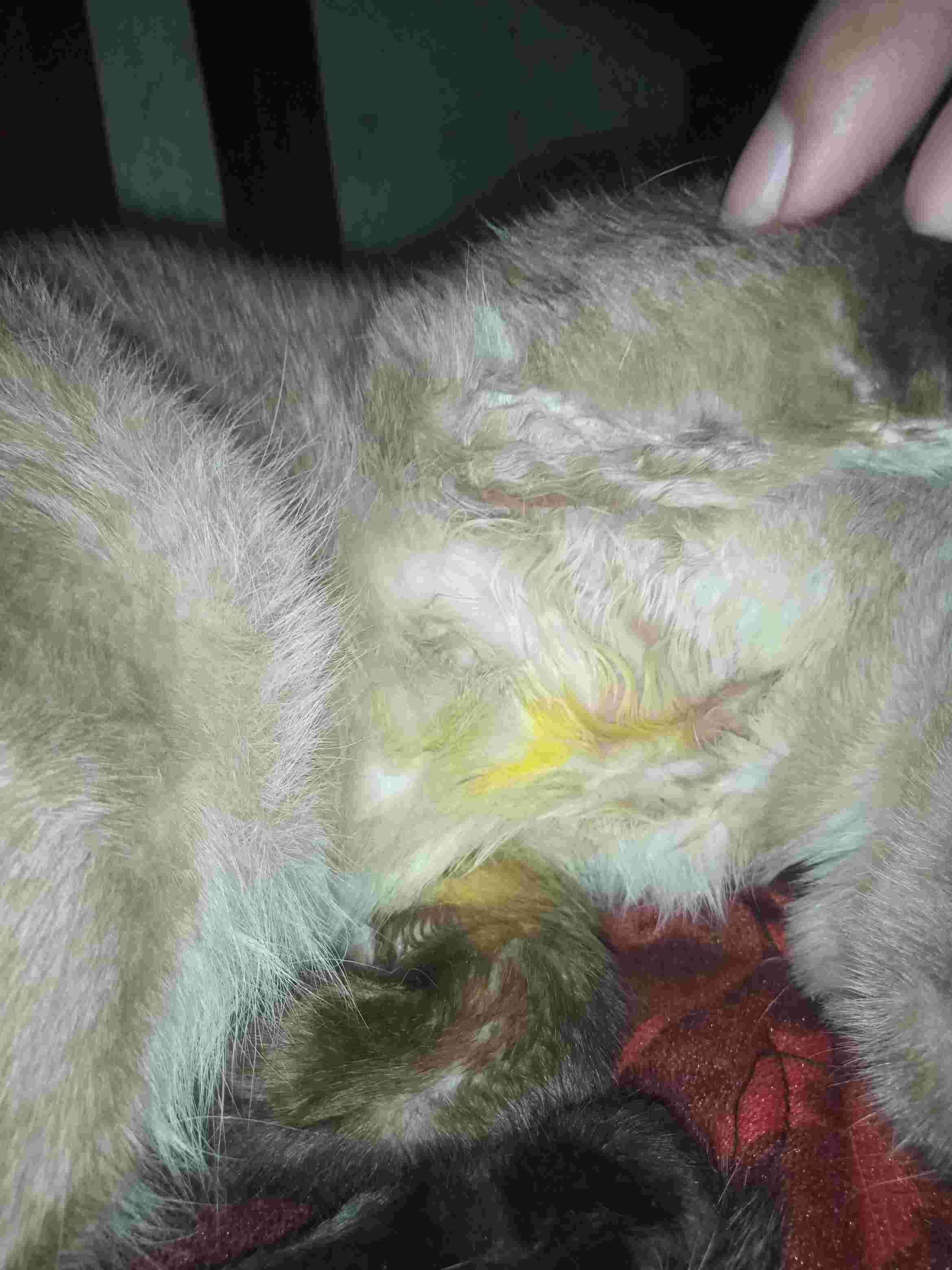 Question details sensitive content