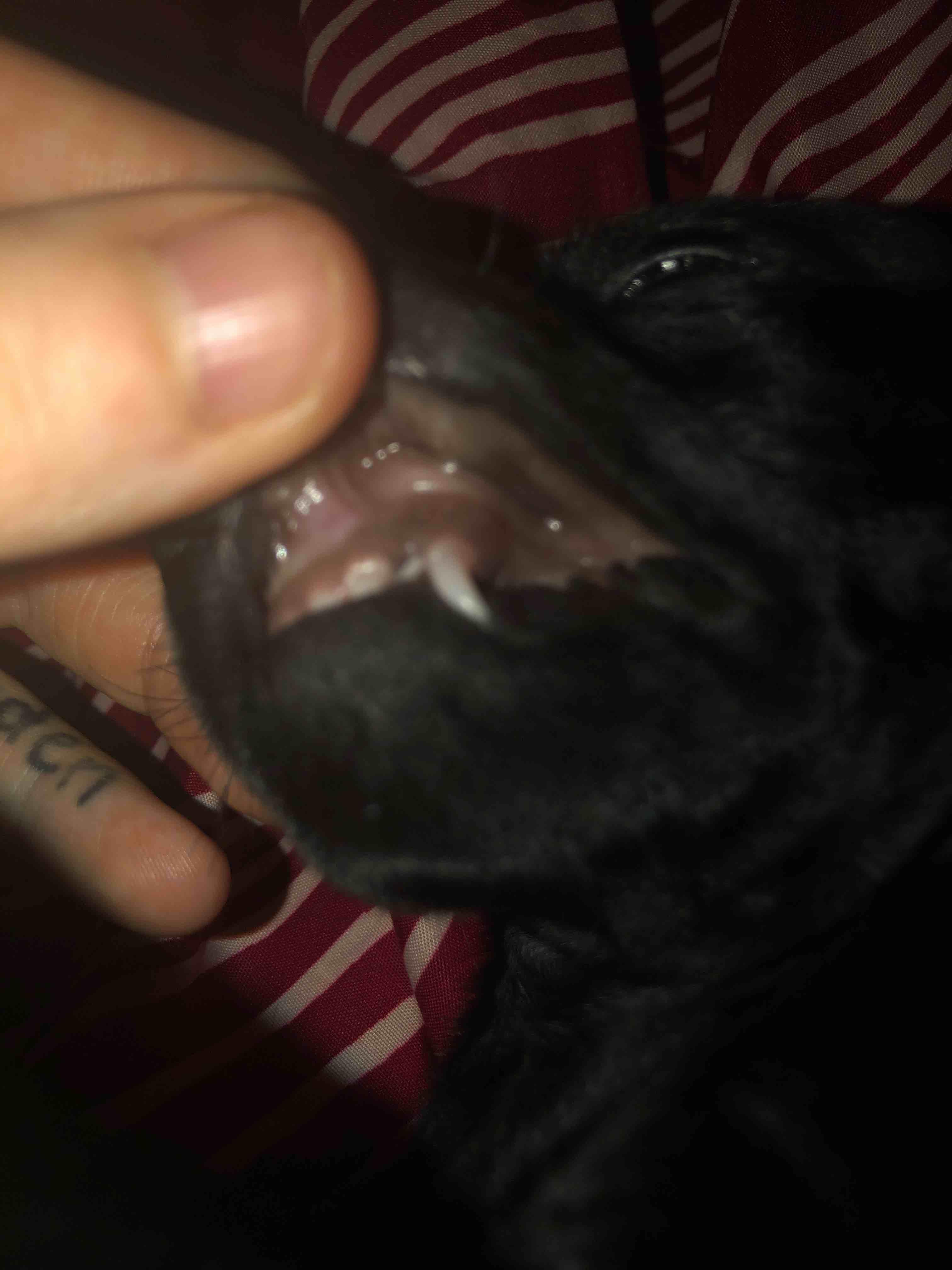 Question details sensitive content