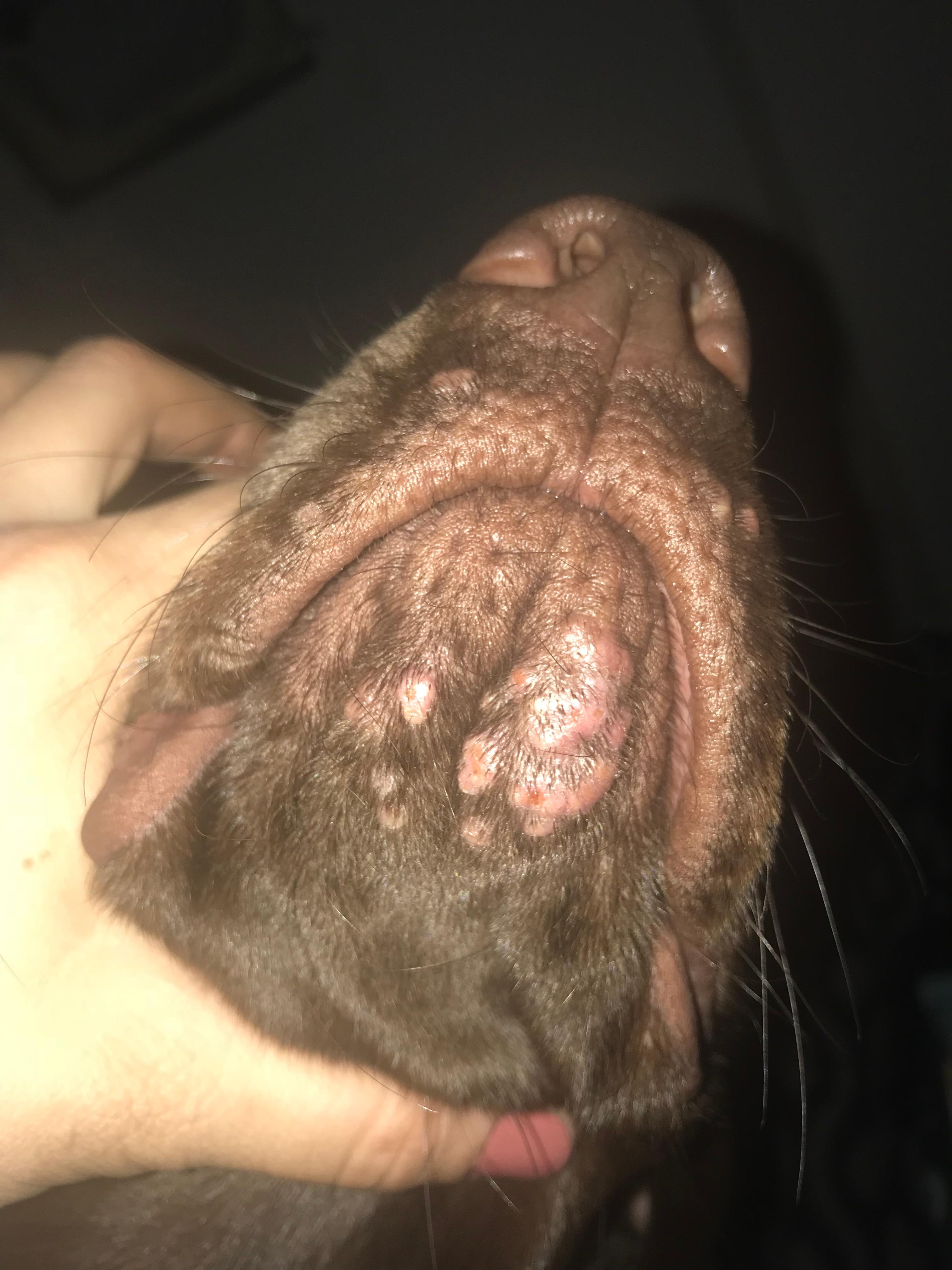 Question details sensitive content