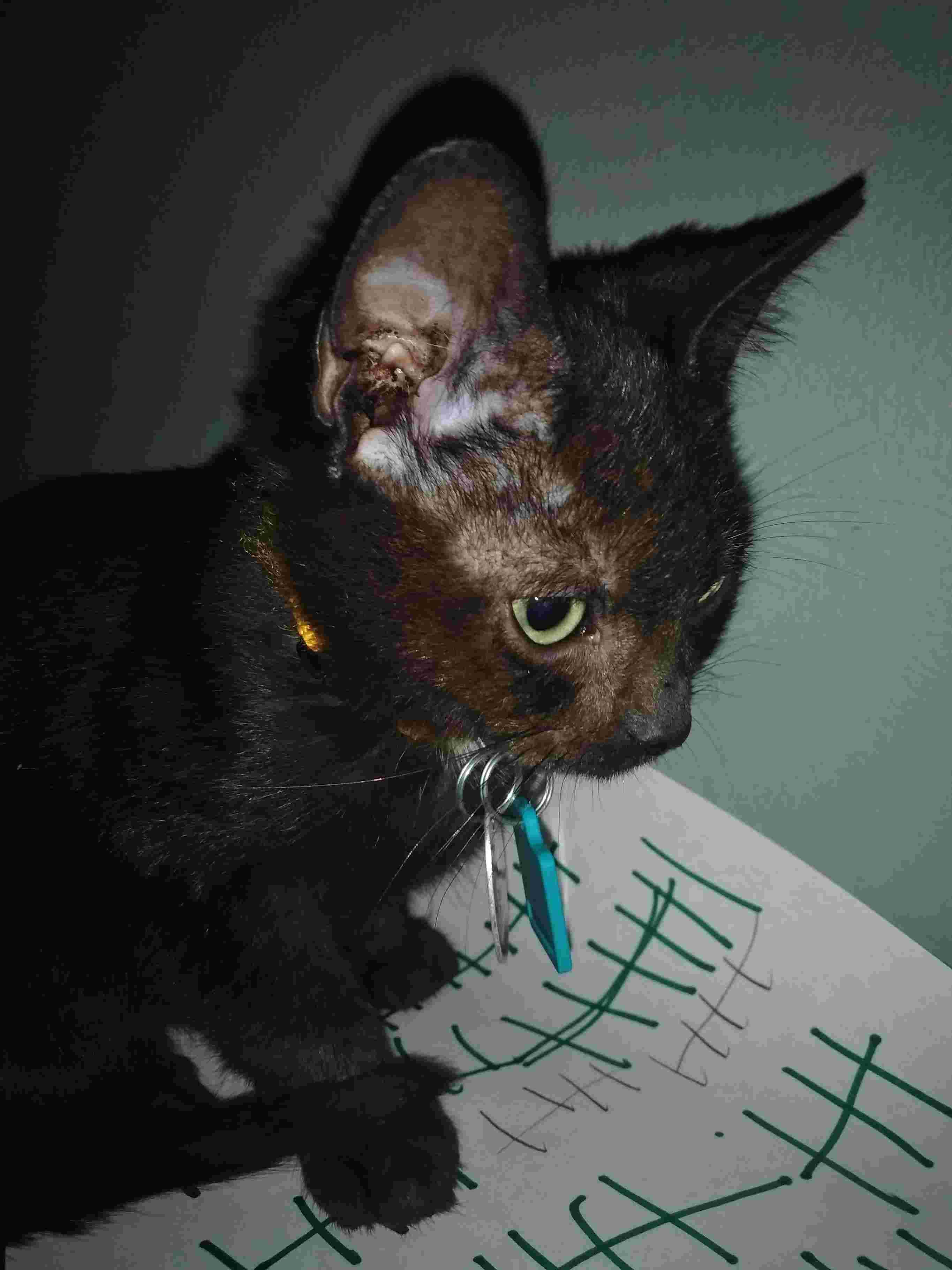 Question details sensitive content