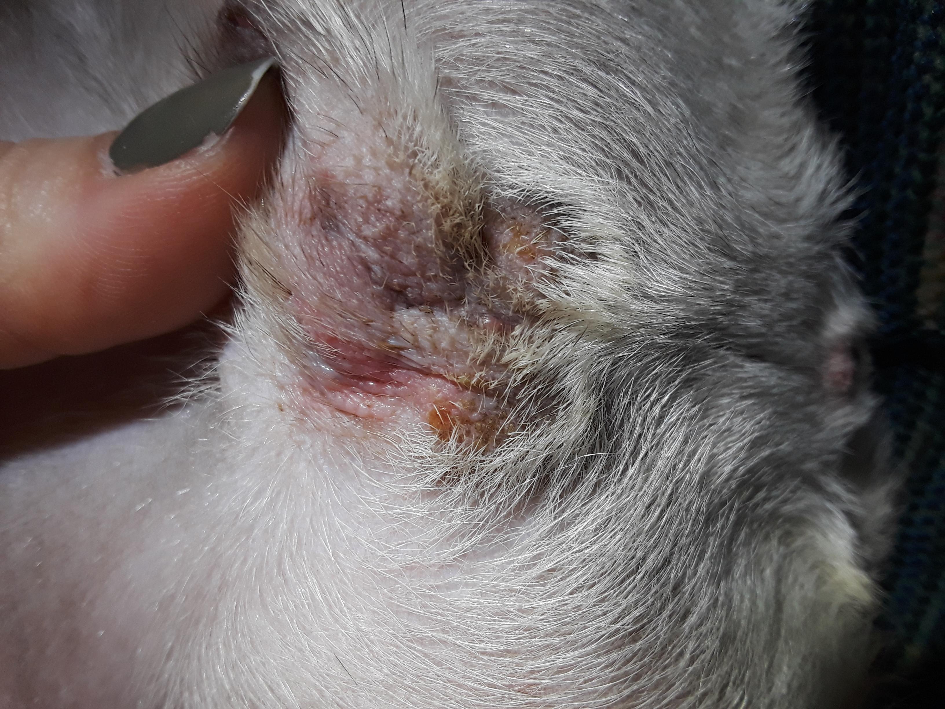 Question details sensitive content