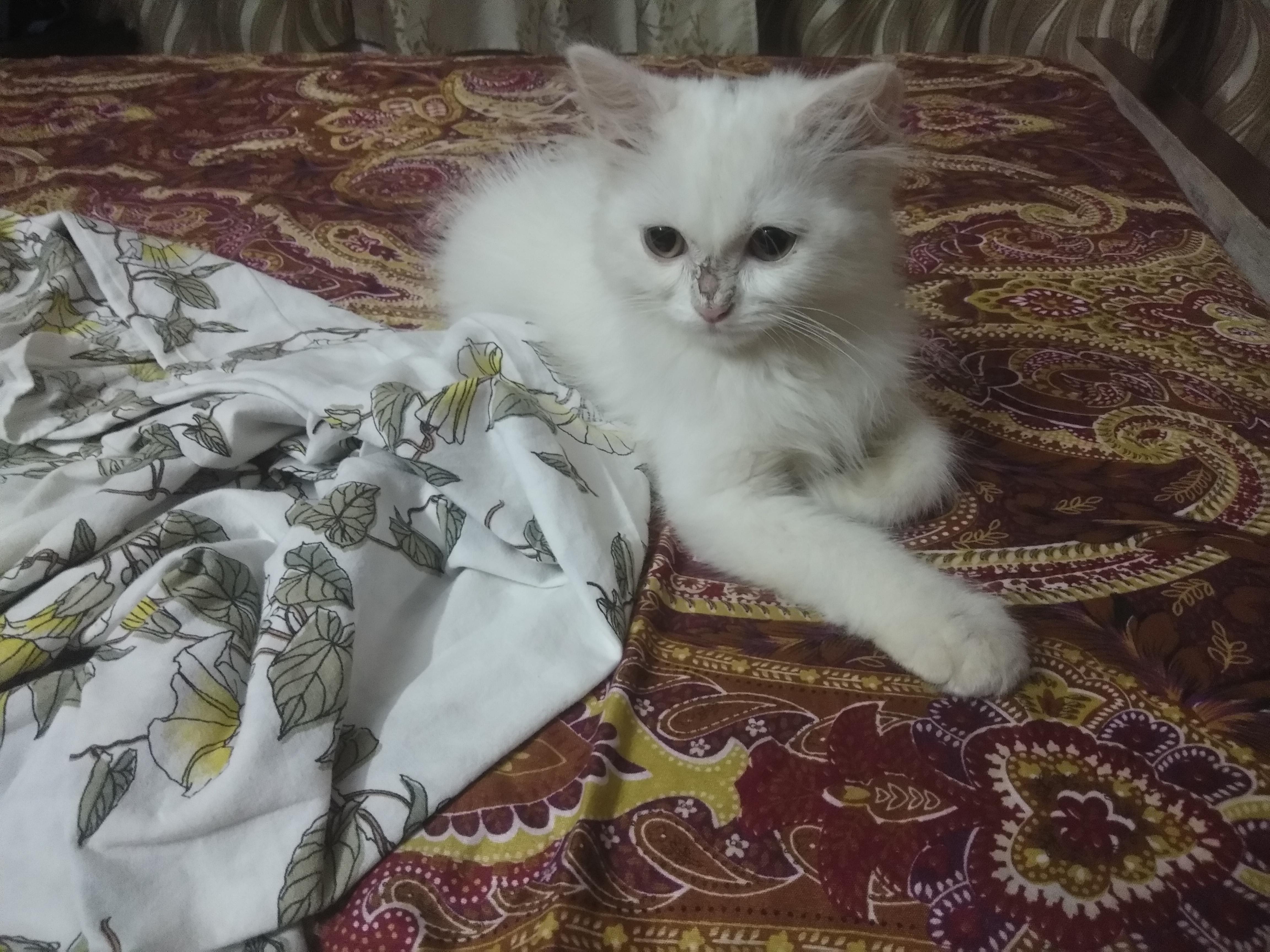 Question details sensitive content