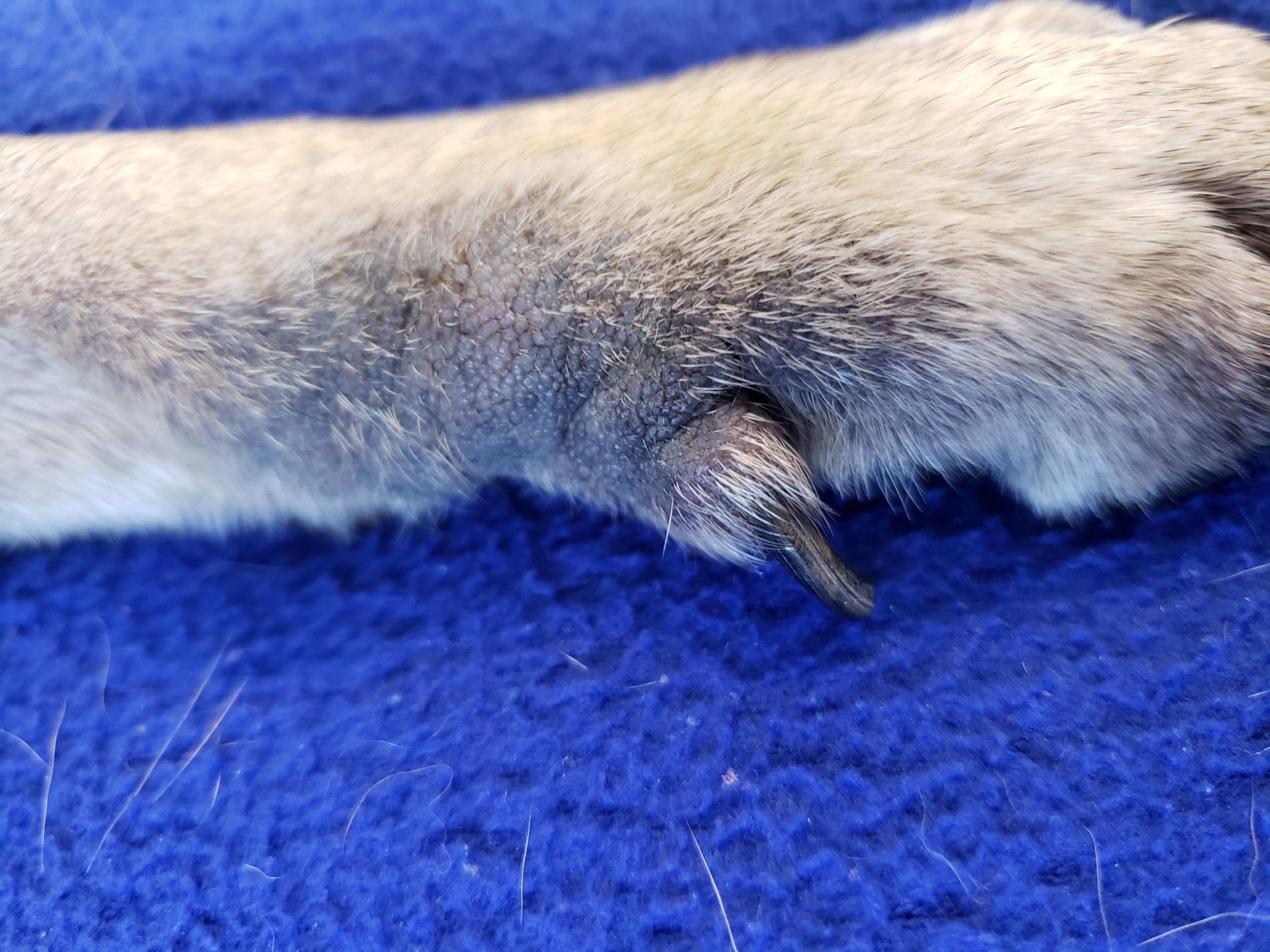 Question details sensitive content