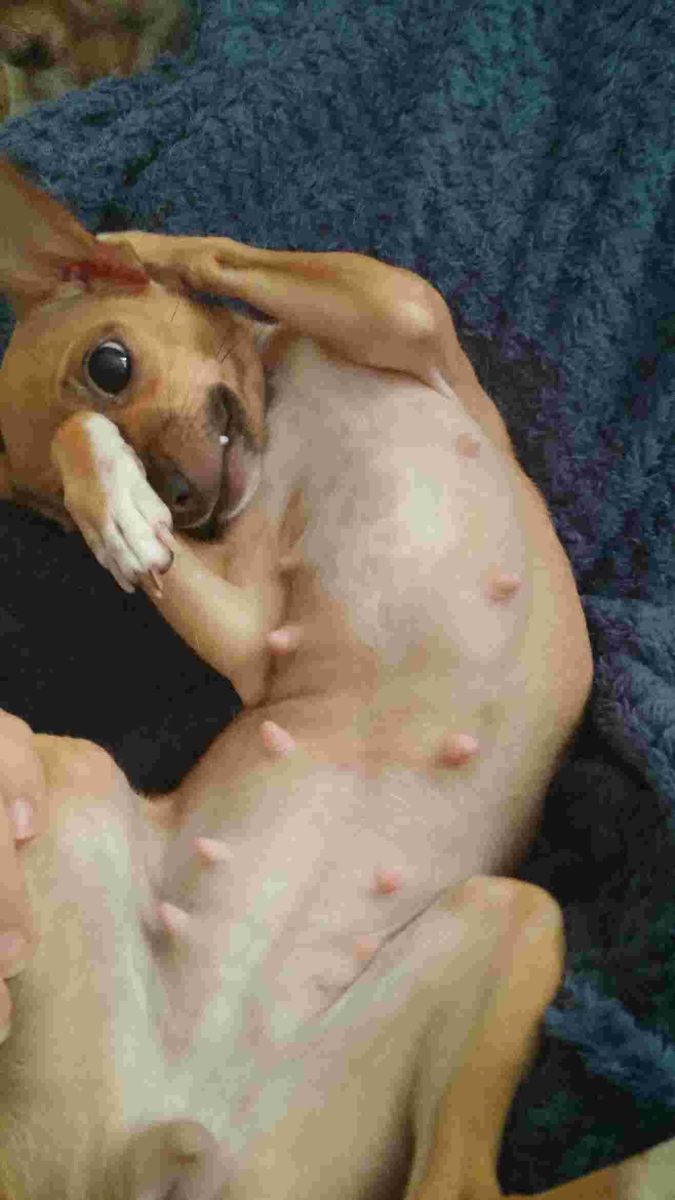 Question details sensitive content