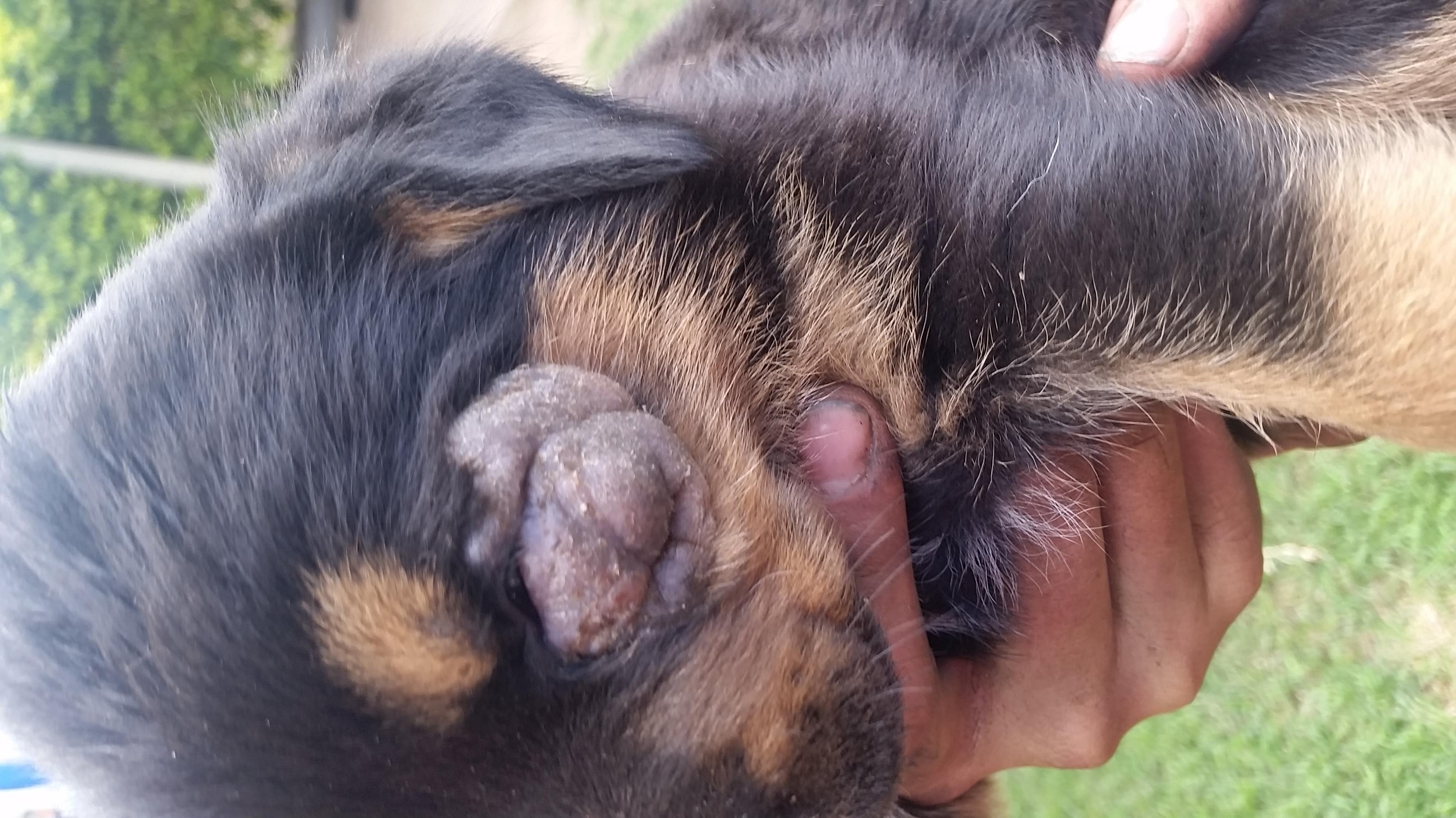 Question details sensitive content