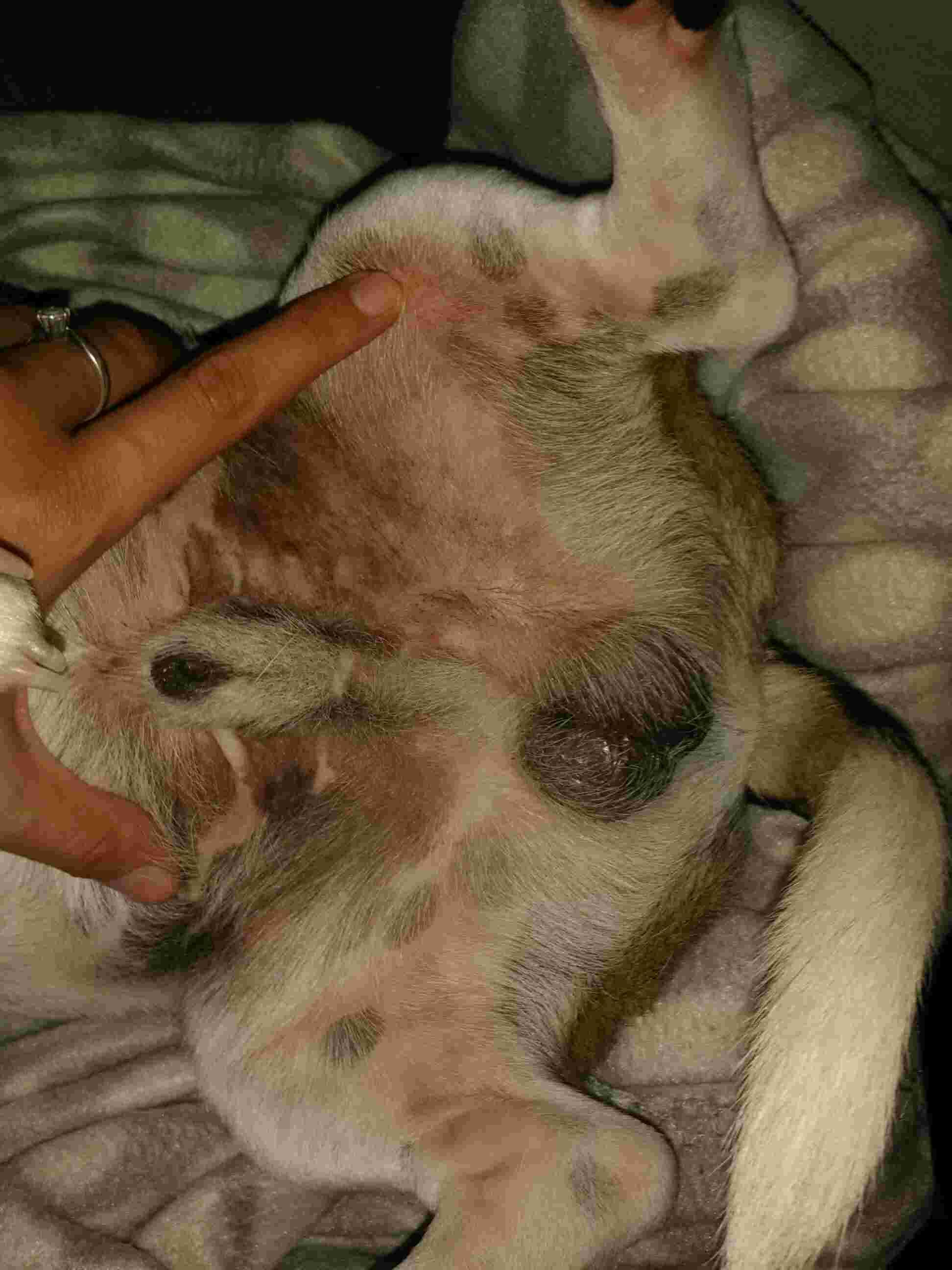 Question details sensitive content