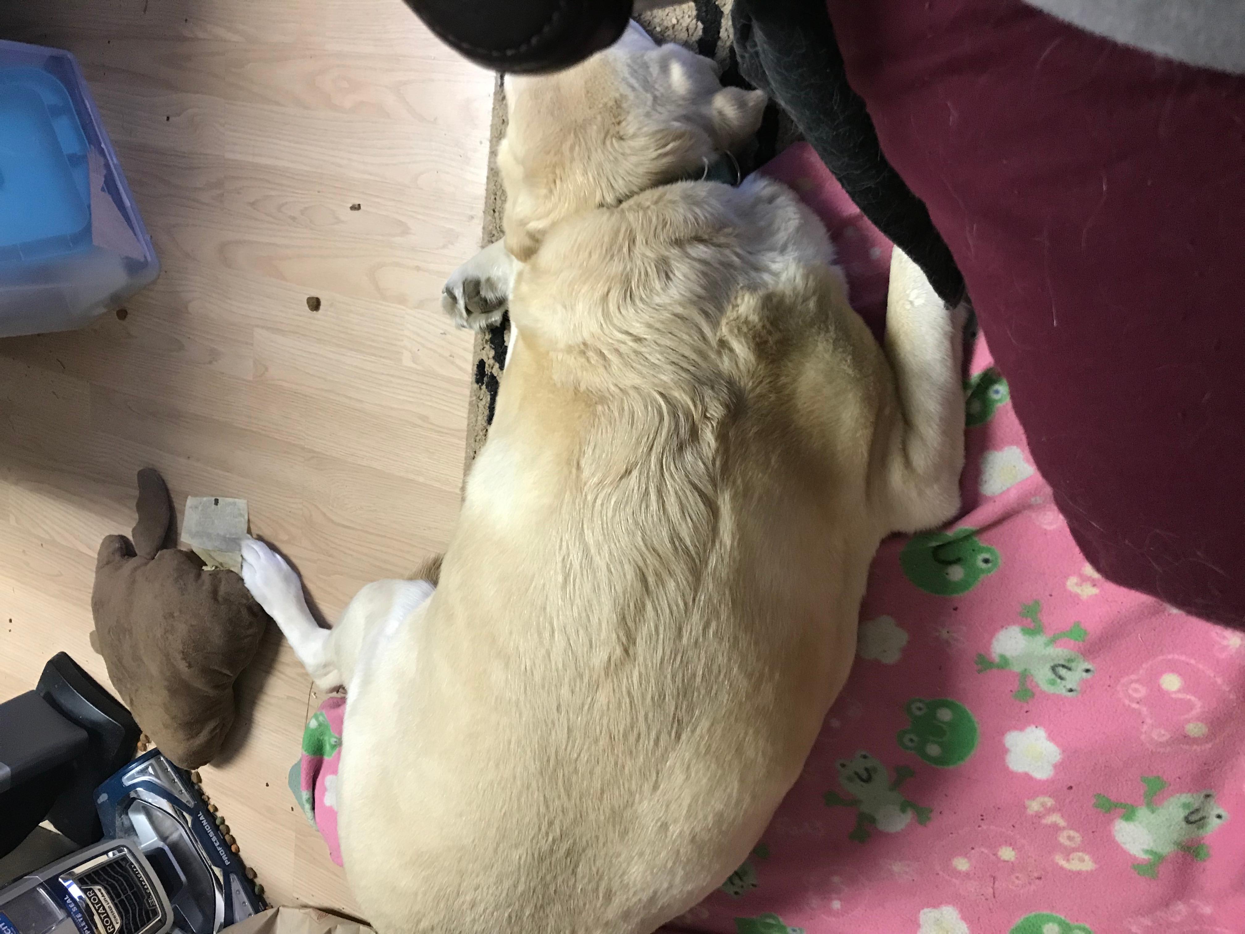 Question details sensitive content