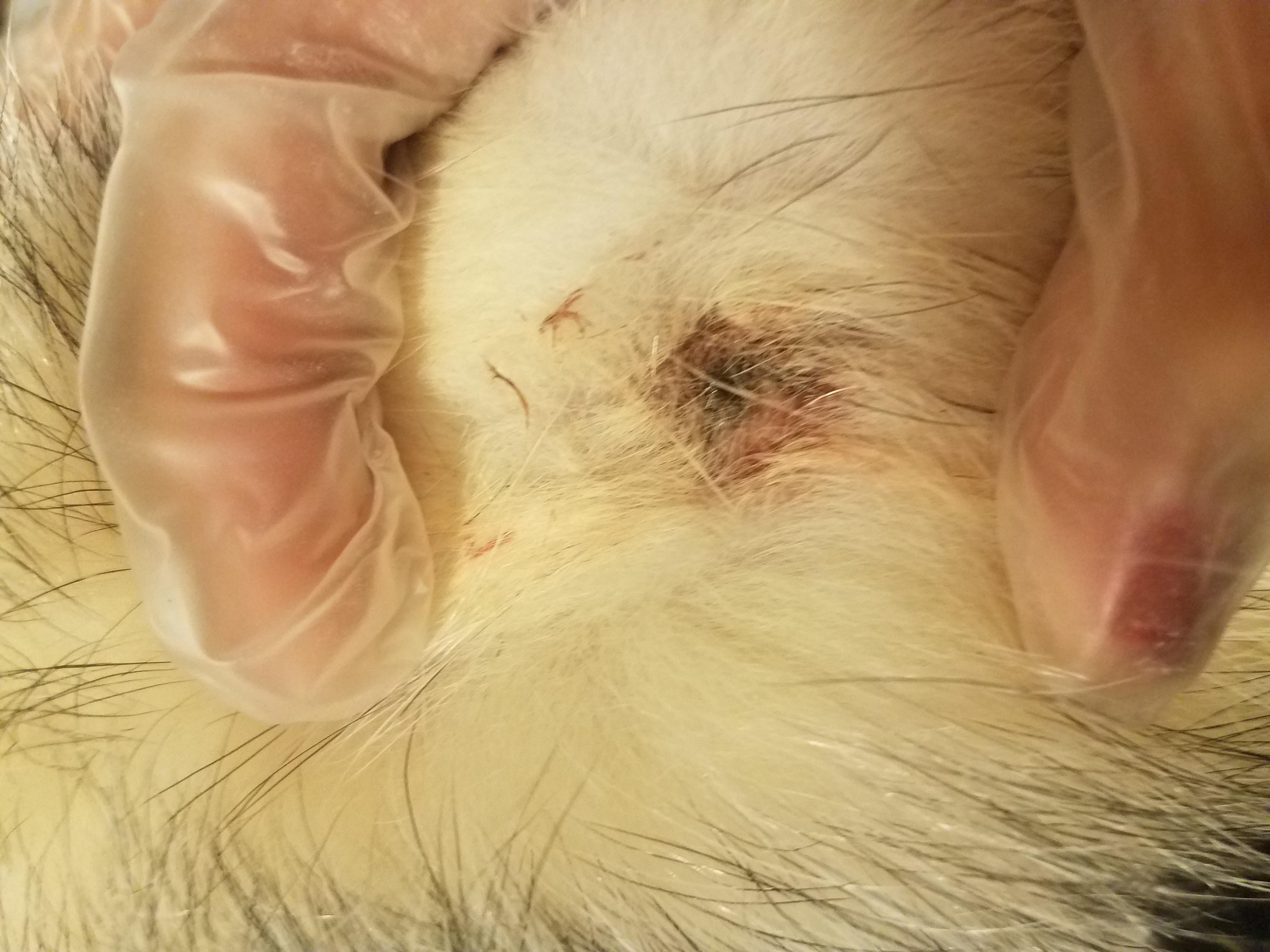 Question details sensitive content