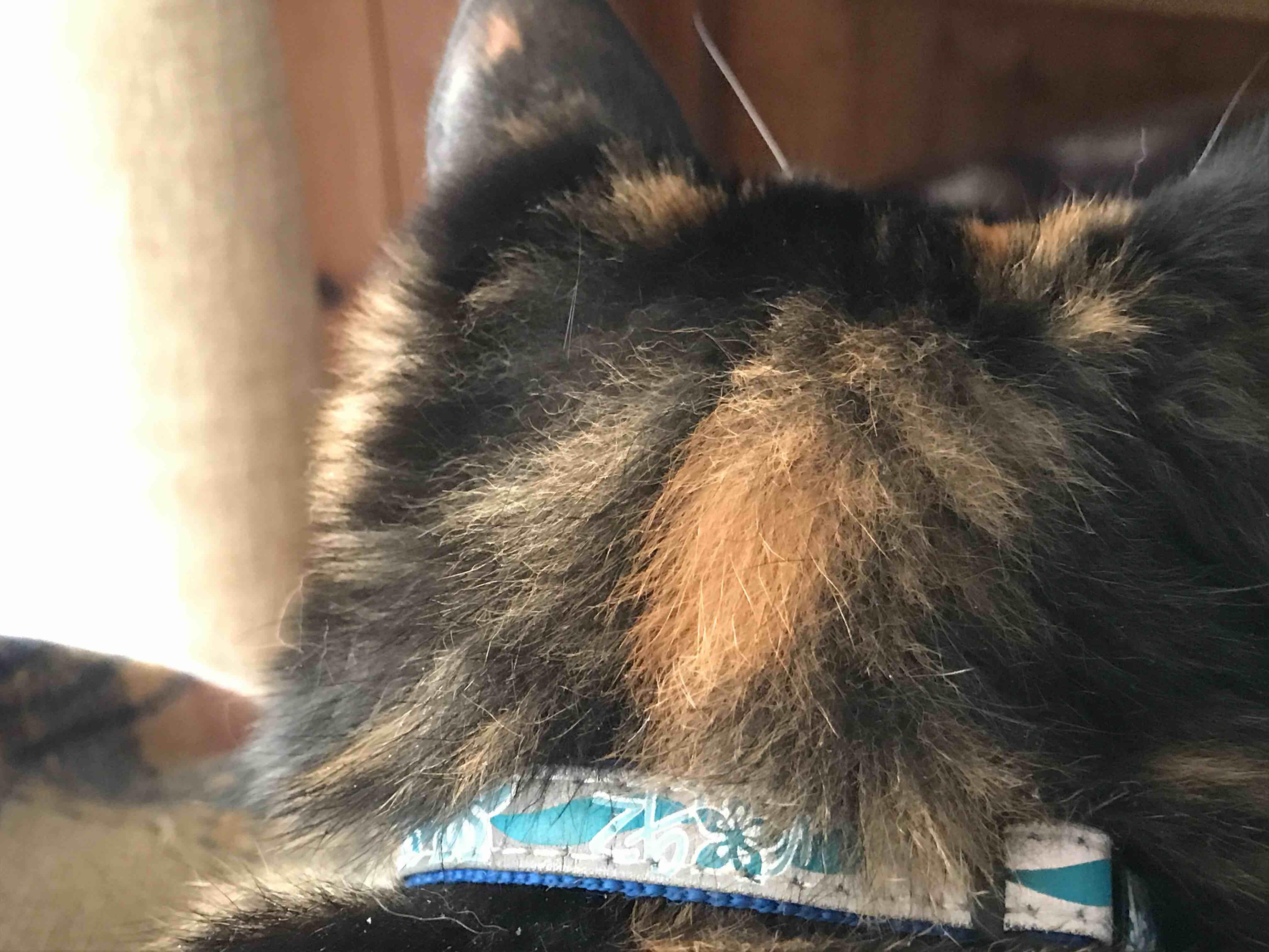 Question details sensitive content