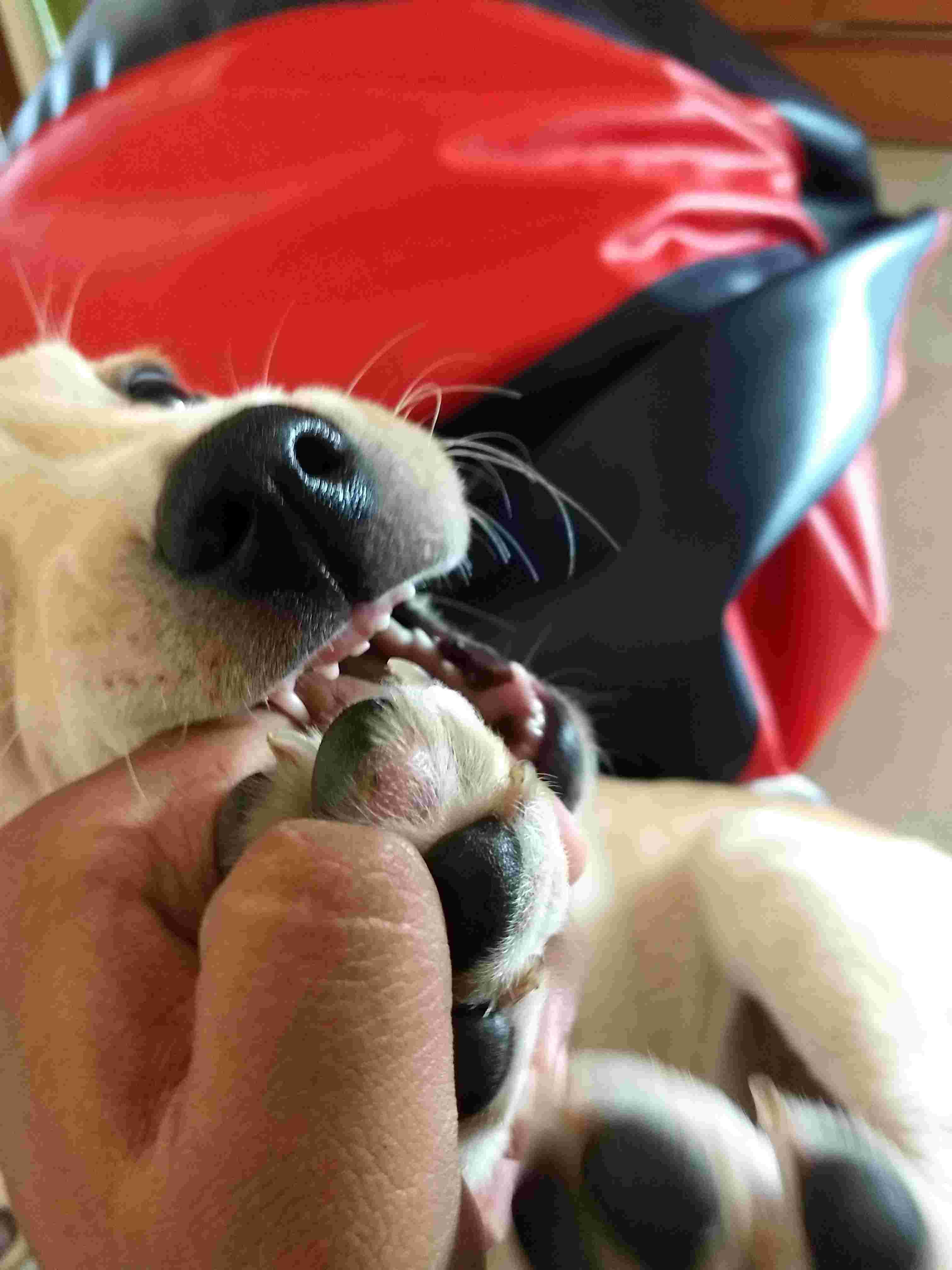 Question details sensitive content