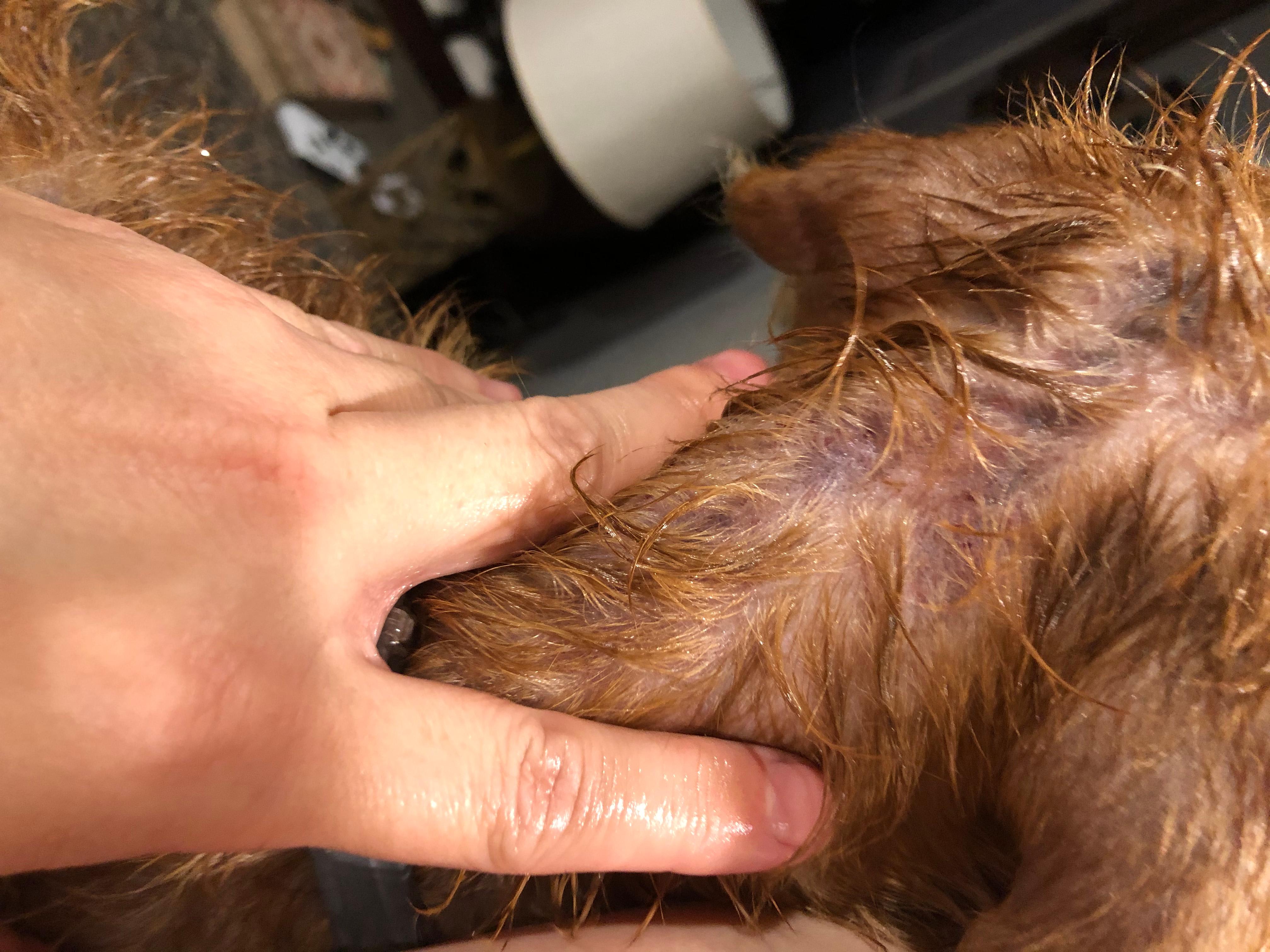 Question details sensitive content