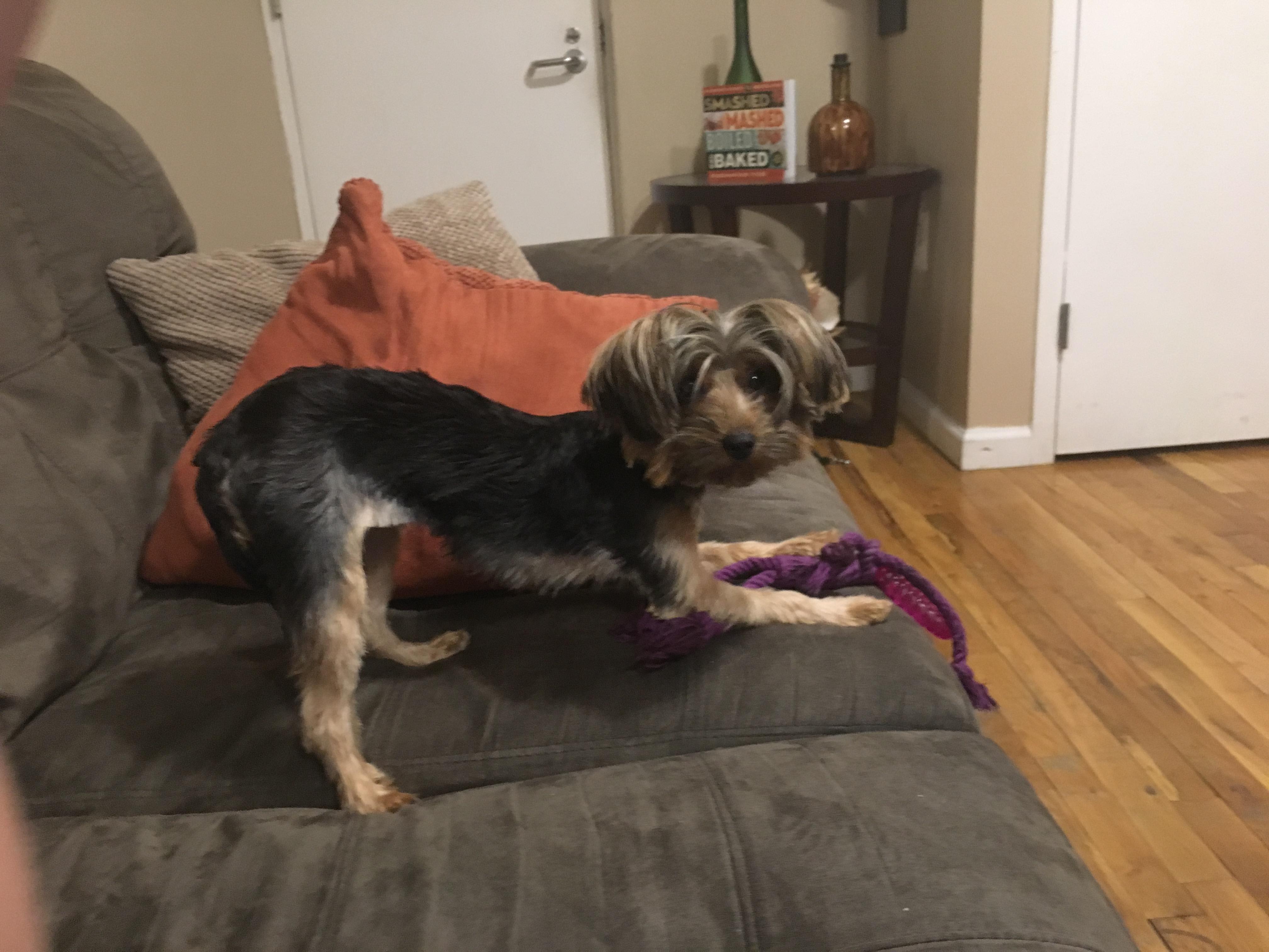 Question details sensitive content