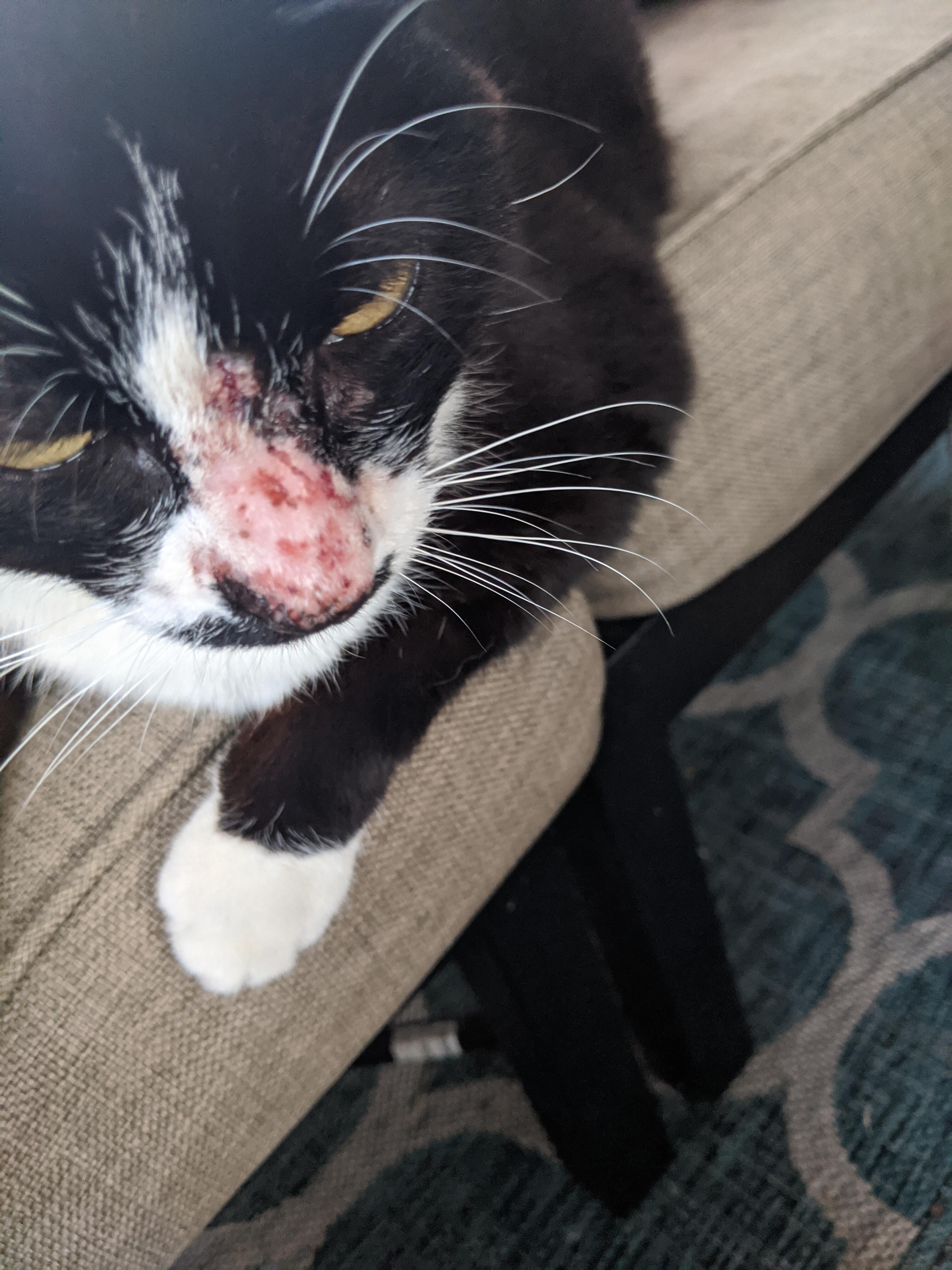 Question details sensitive content