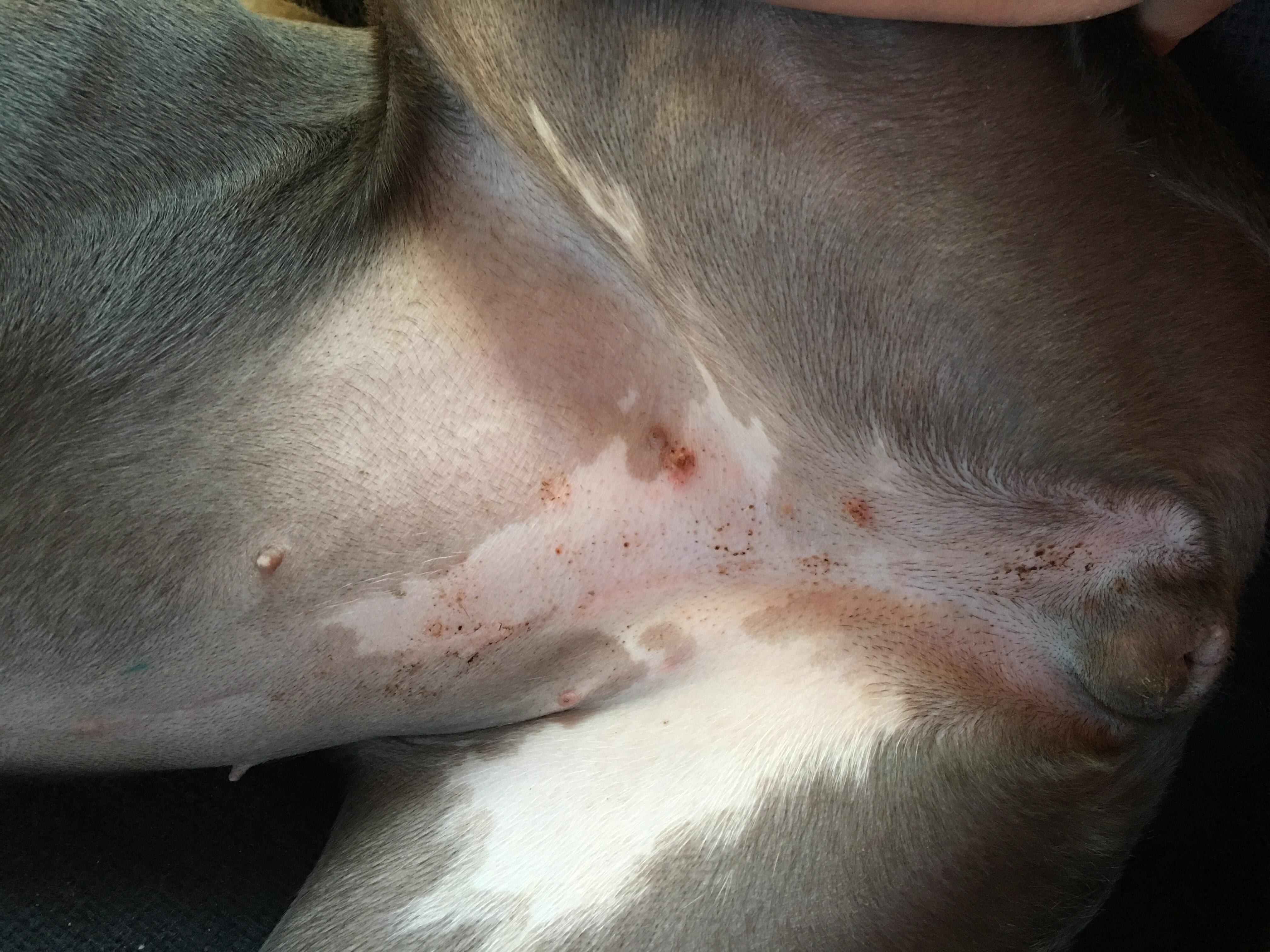 Question details sensitive content