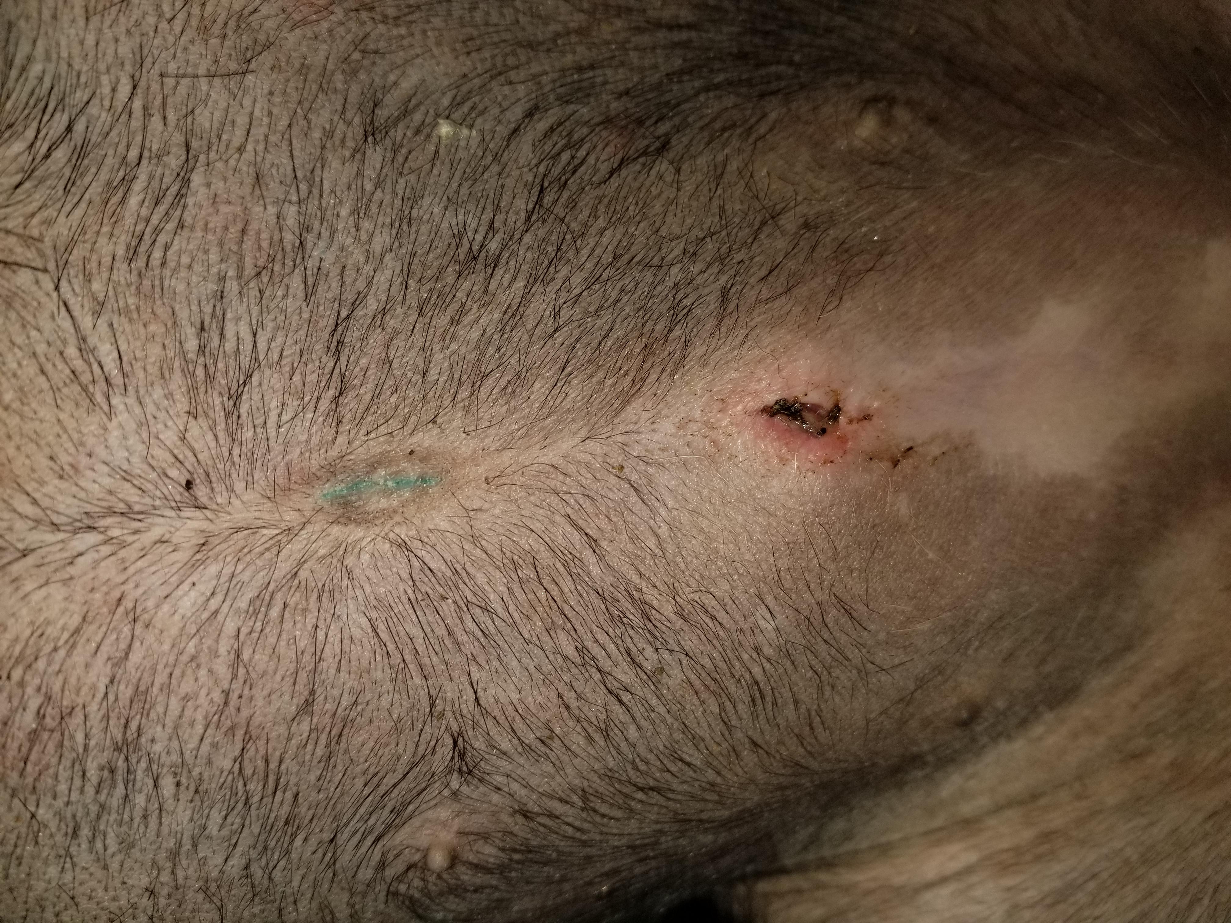 Question details sensitive content