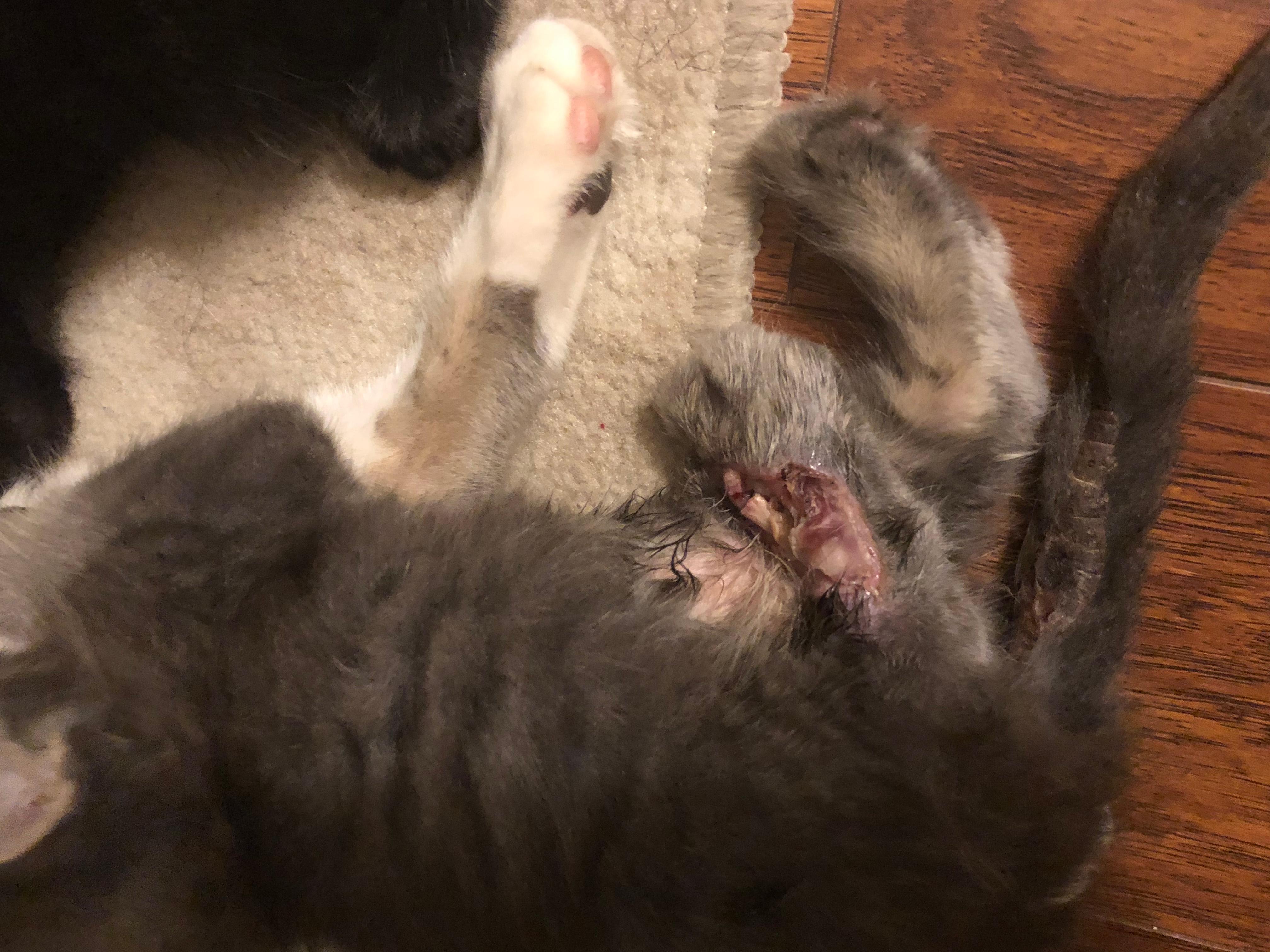 Question details sensitive content