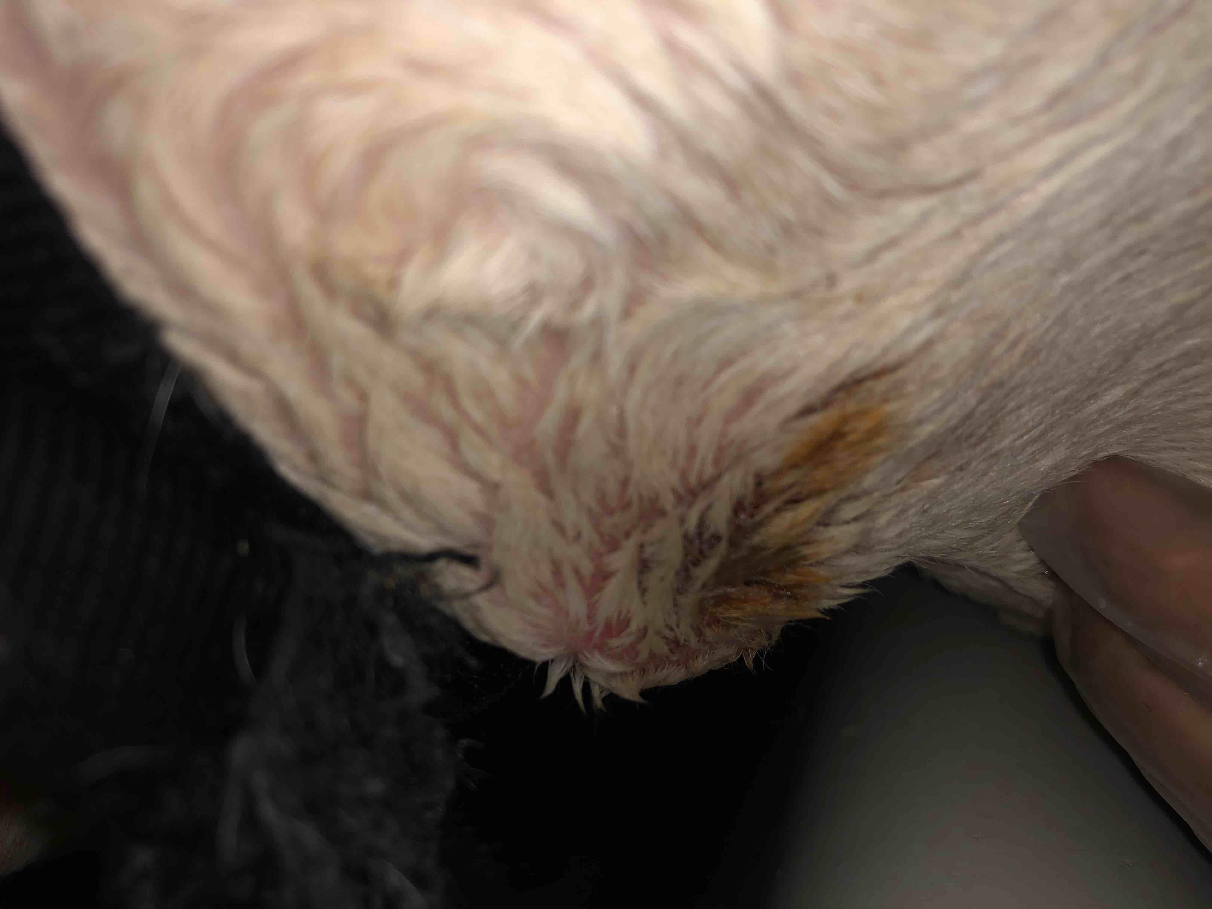 Question details sensitive content