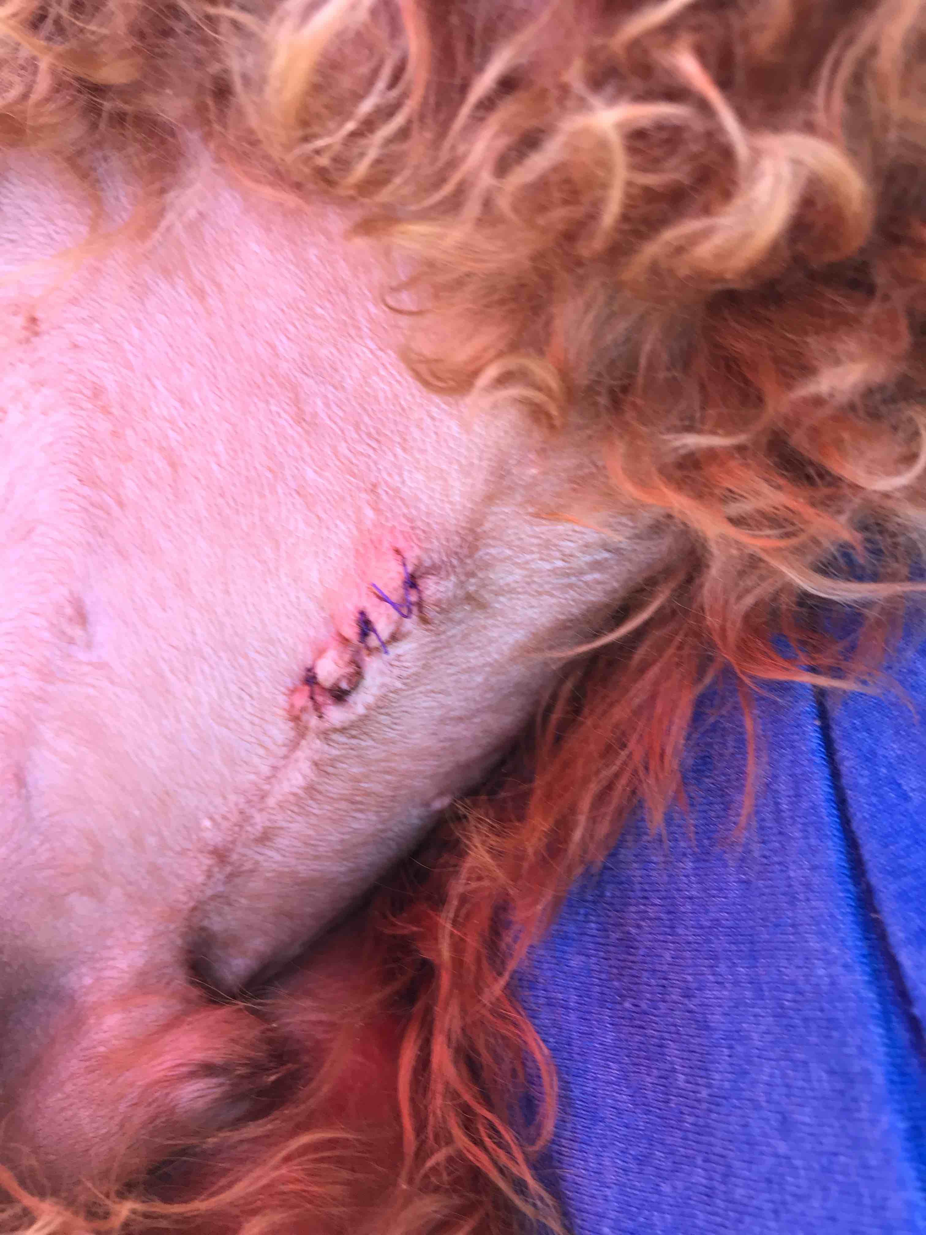 Question details sensitive content