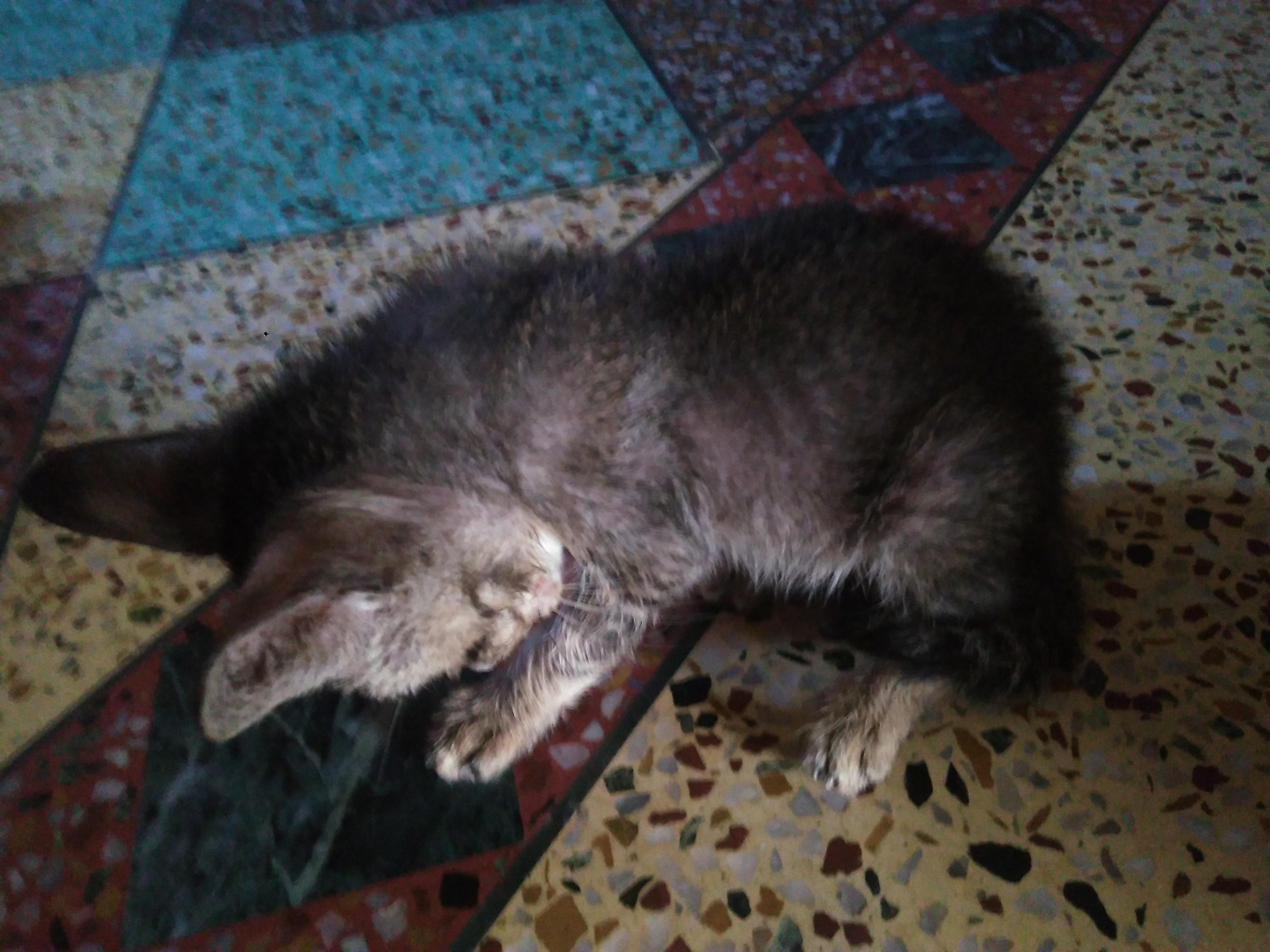 Question details sensitive content