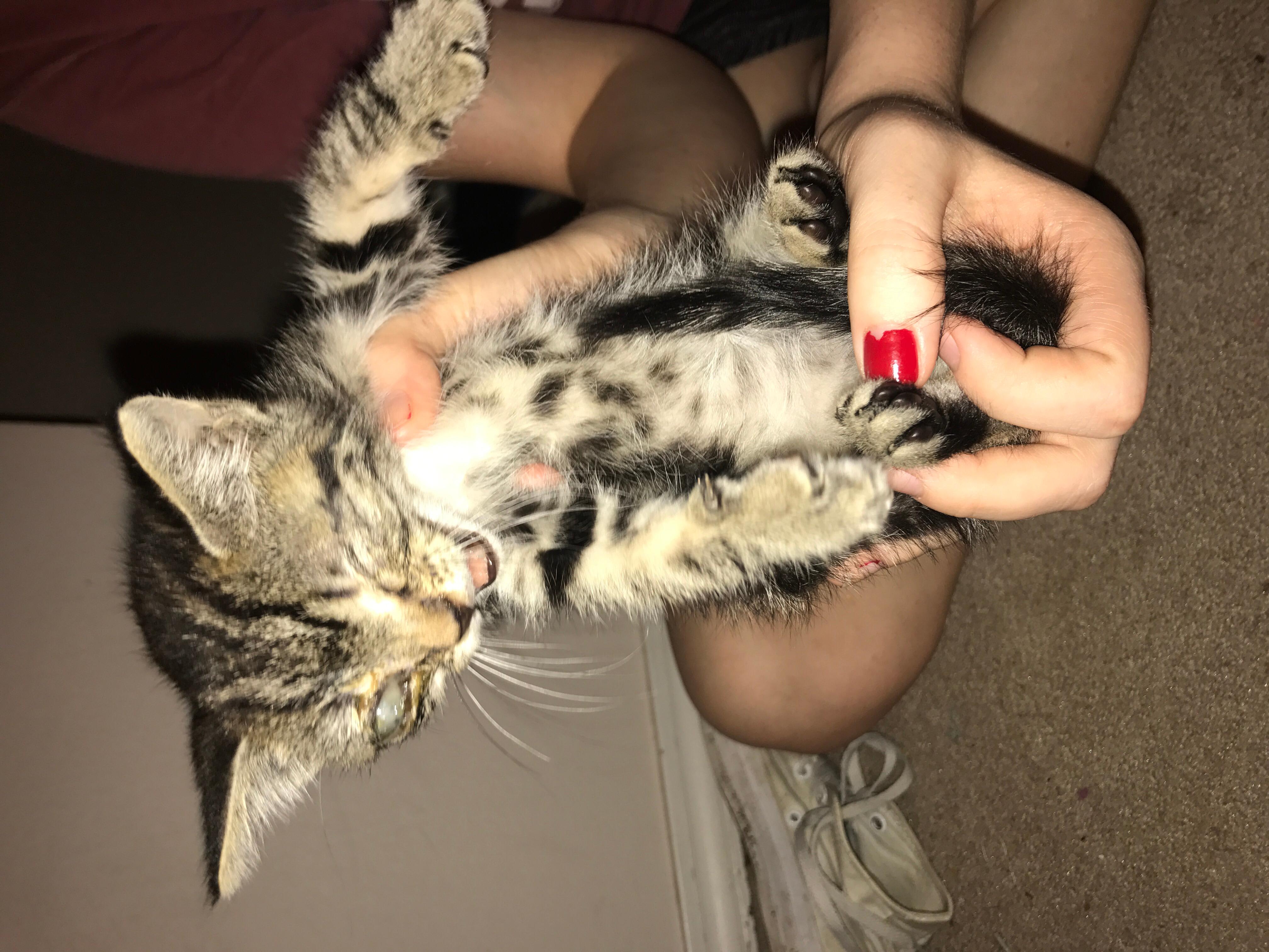 Question details sensitive content